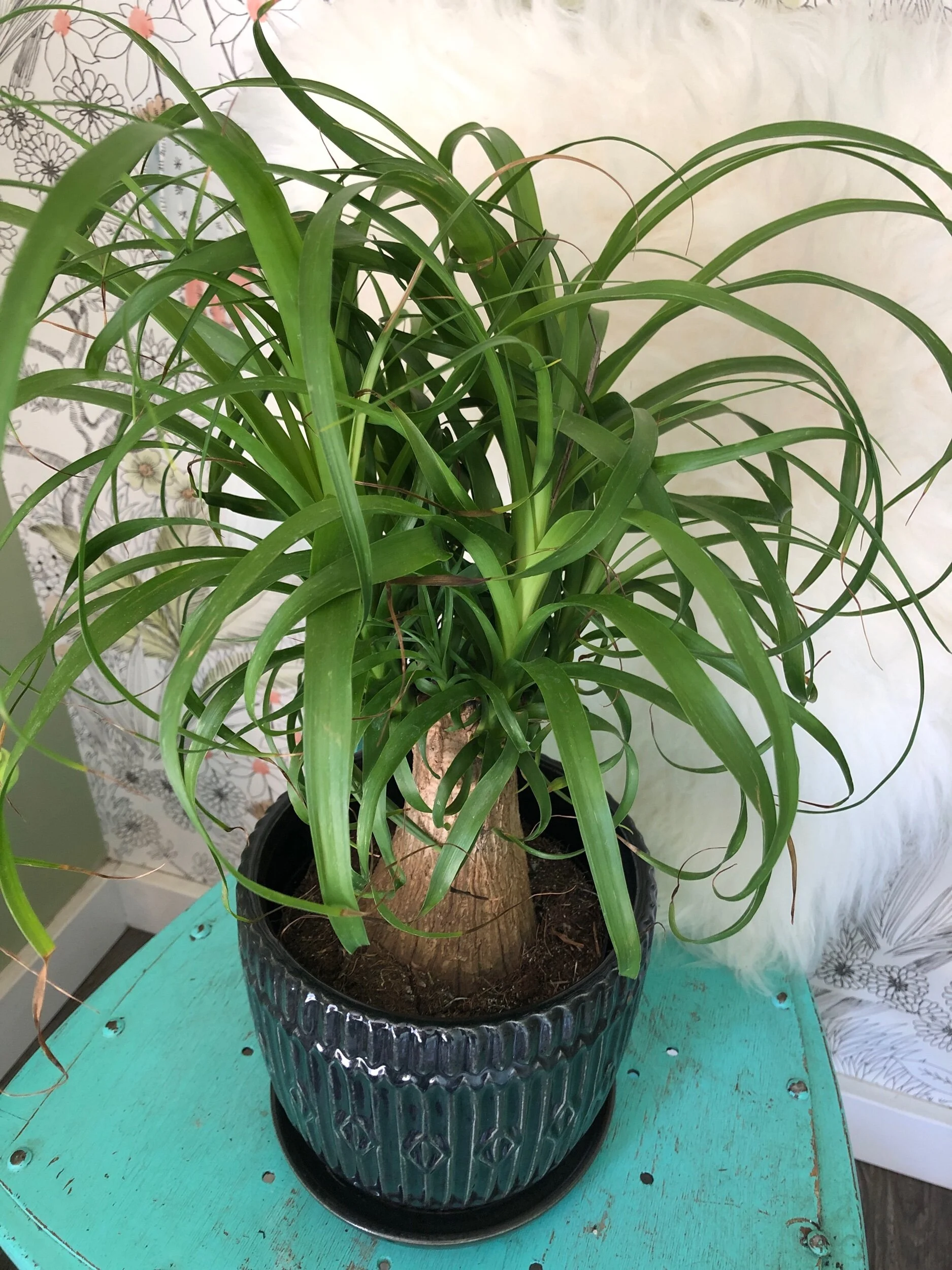 77501636-694F-44AB-AEE7-2D2C00E21BEB