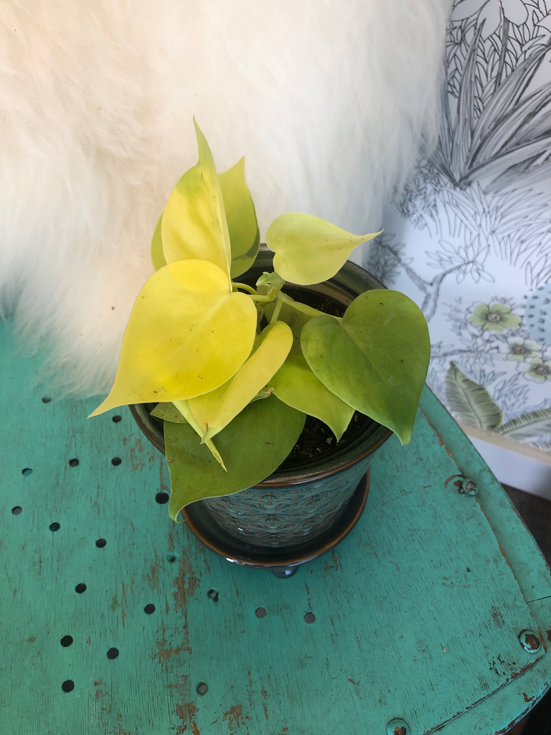 B319C6B6-53E8-4F1C-9870-BCEA17B8F263