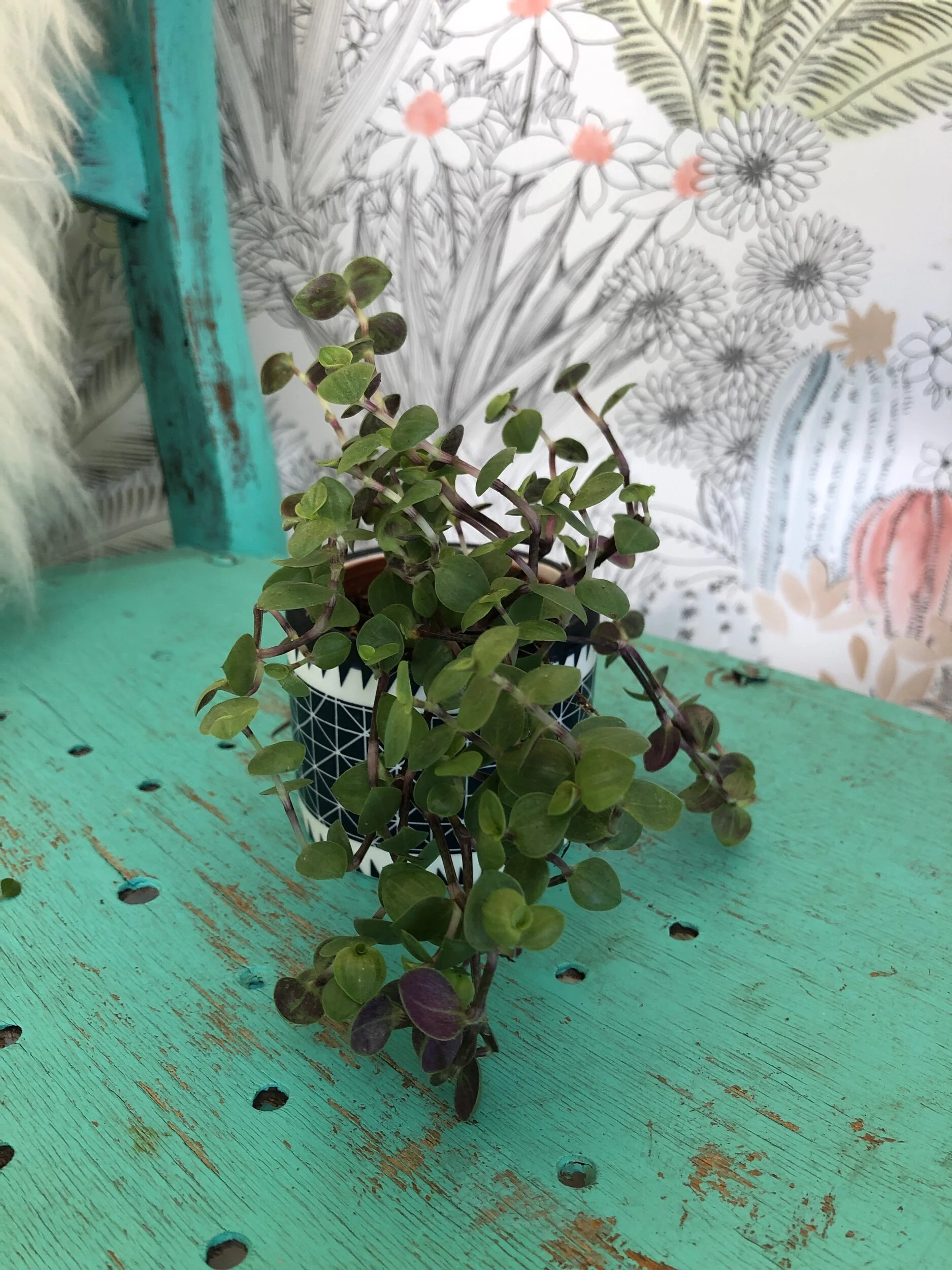 670B40B3-D9BA-4EC1-9462-339B761F81A7