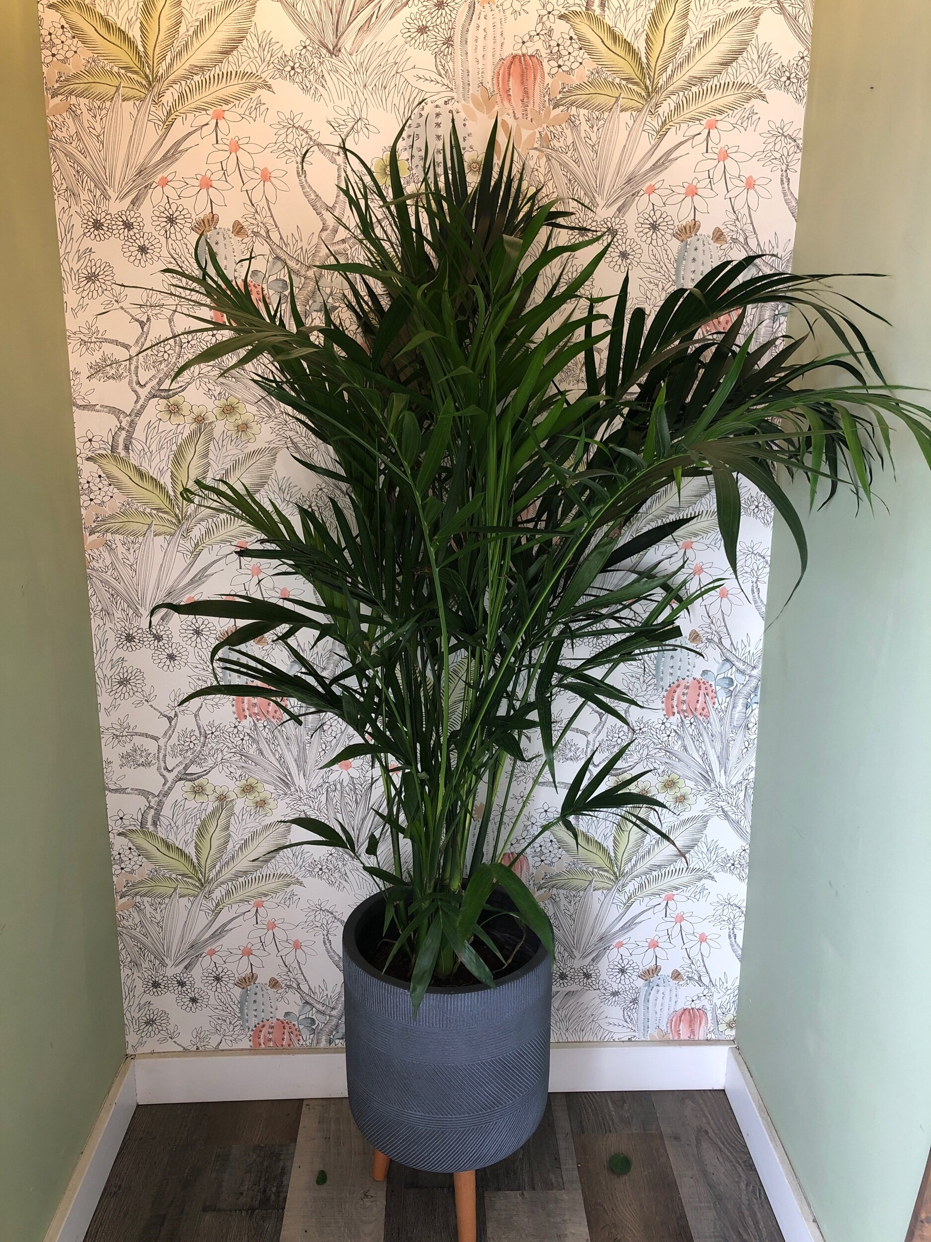 3C01279E-7F44-43B2-A42A-72576E7A2D1B