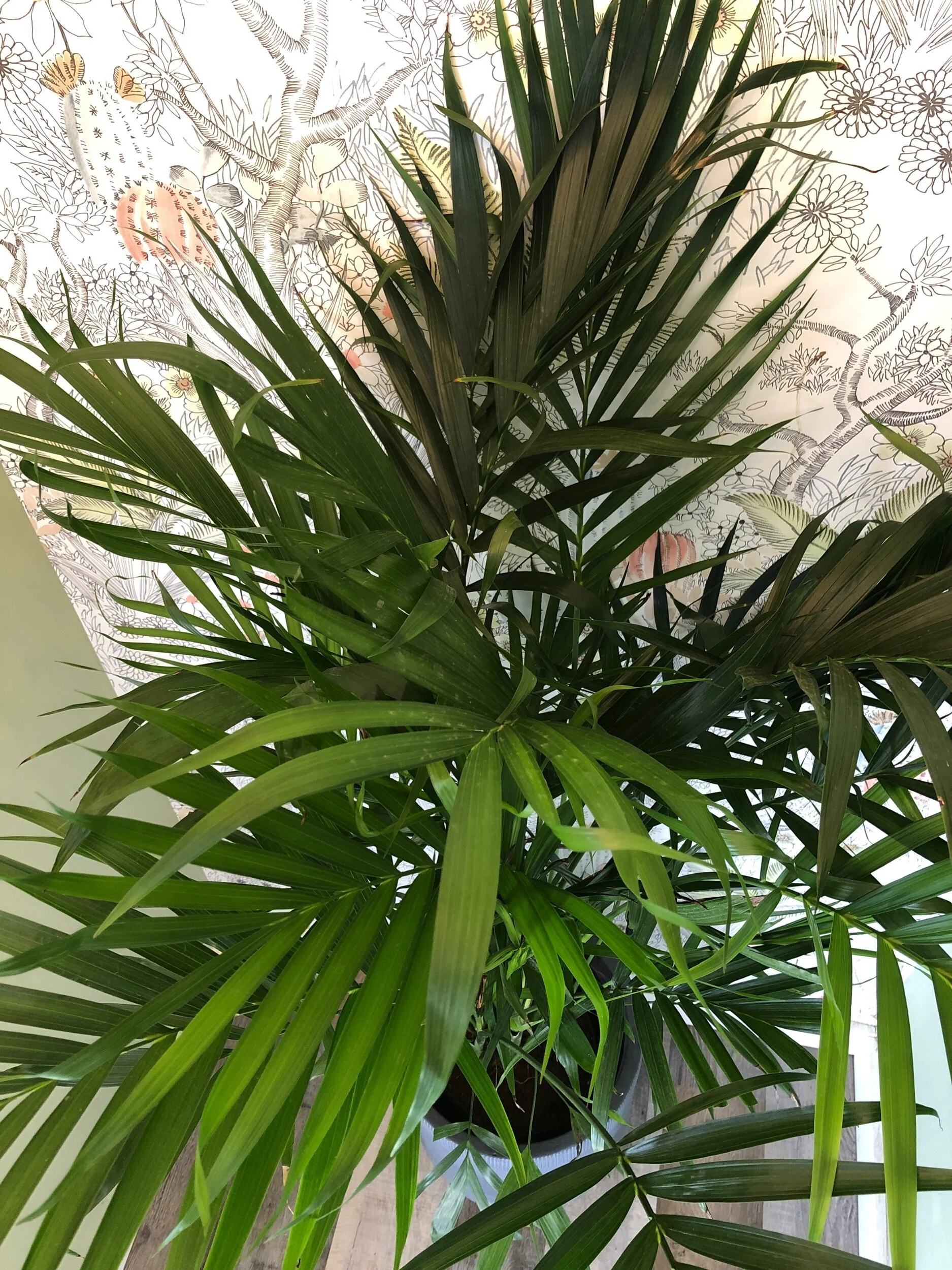 AECB5E6B-F02C-47E6-A809-59B2E3E8FC4D