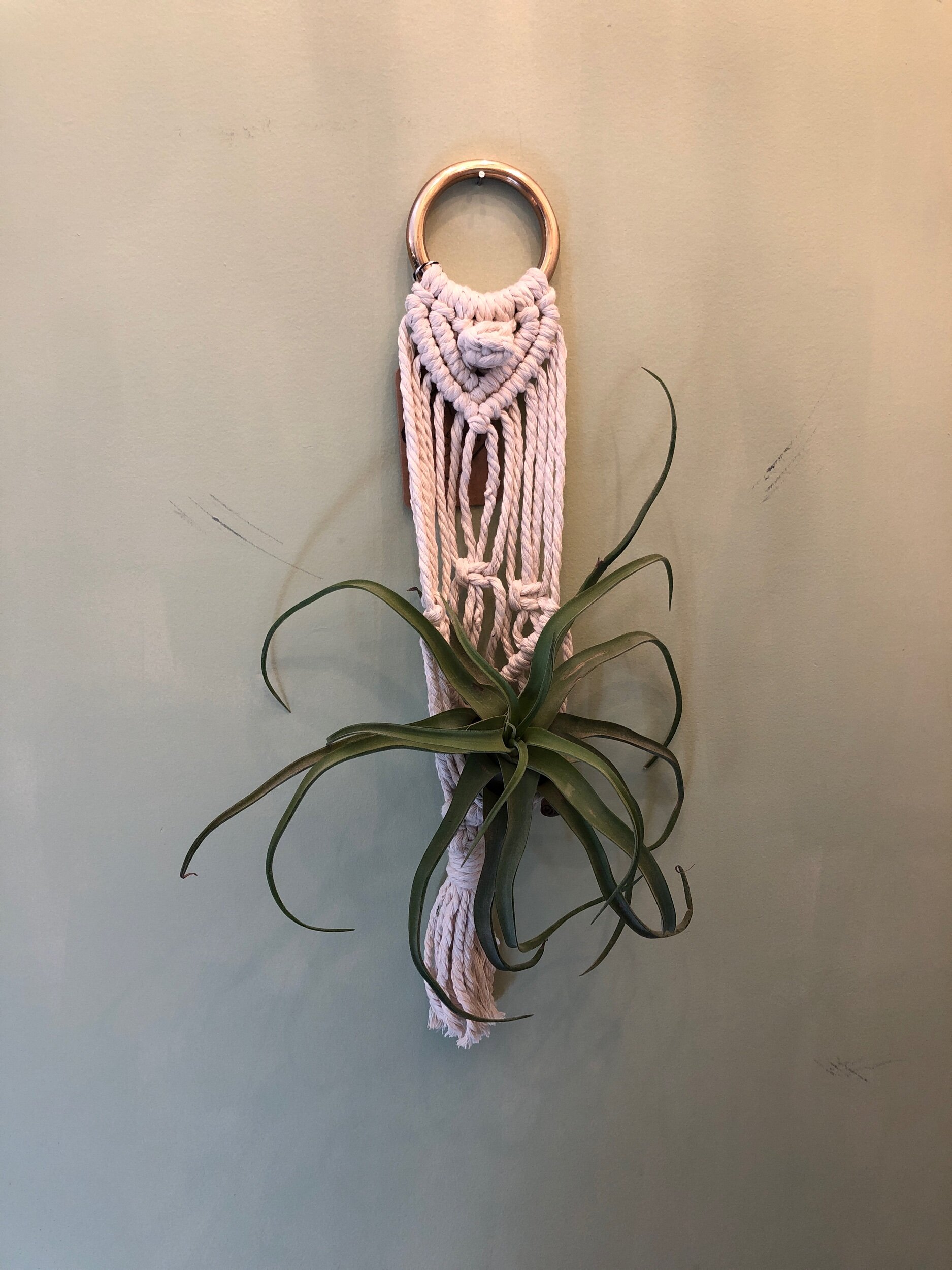 09849E93-E20D-4378-BA80-CEAA5F5085CB