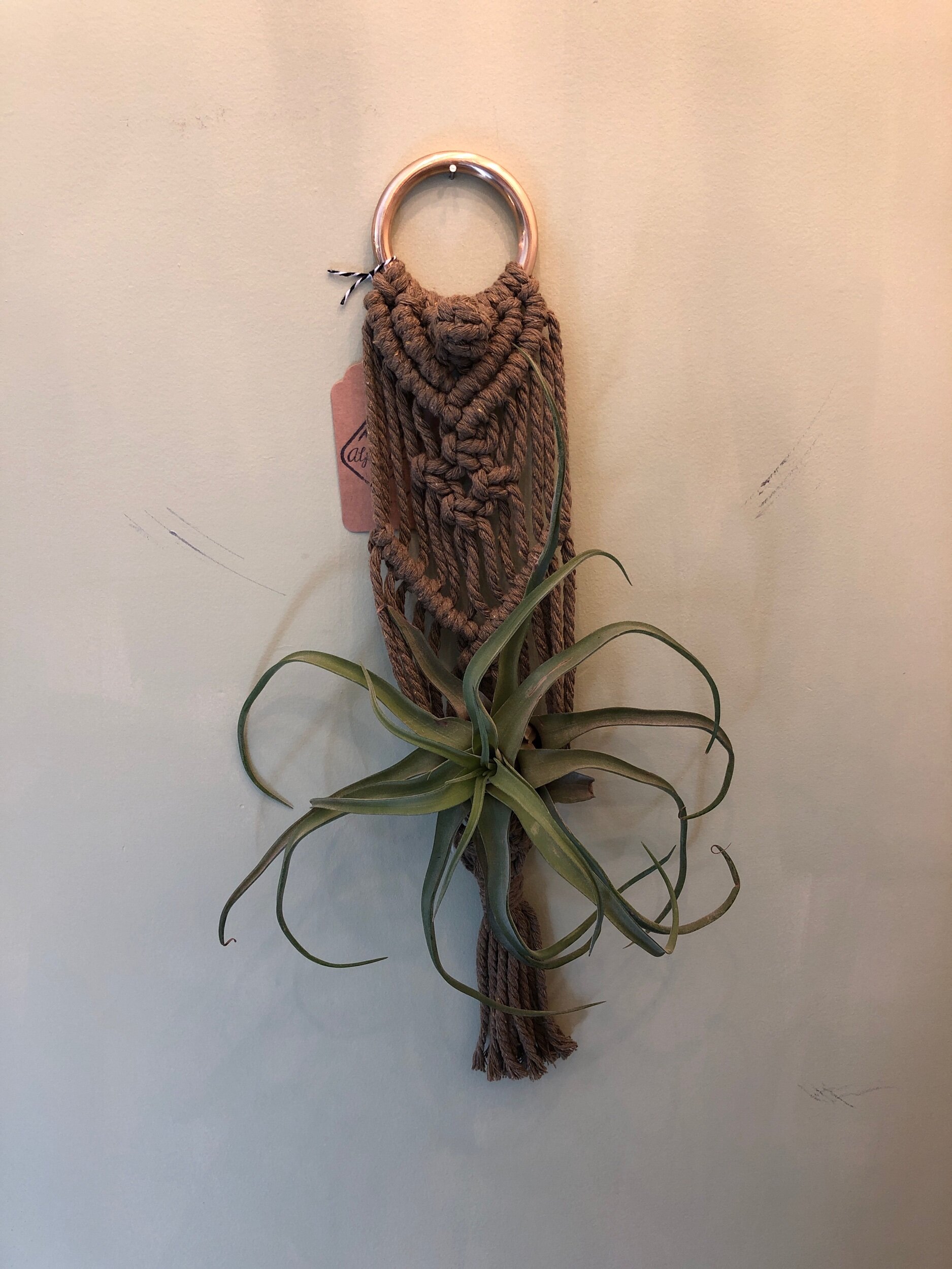 113CC4D0-2A6F-4E22-8083-8B0B61D52083