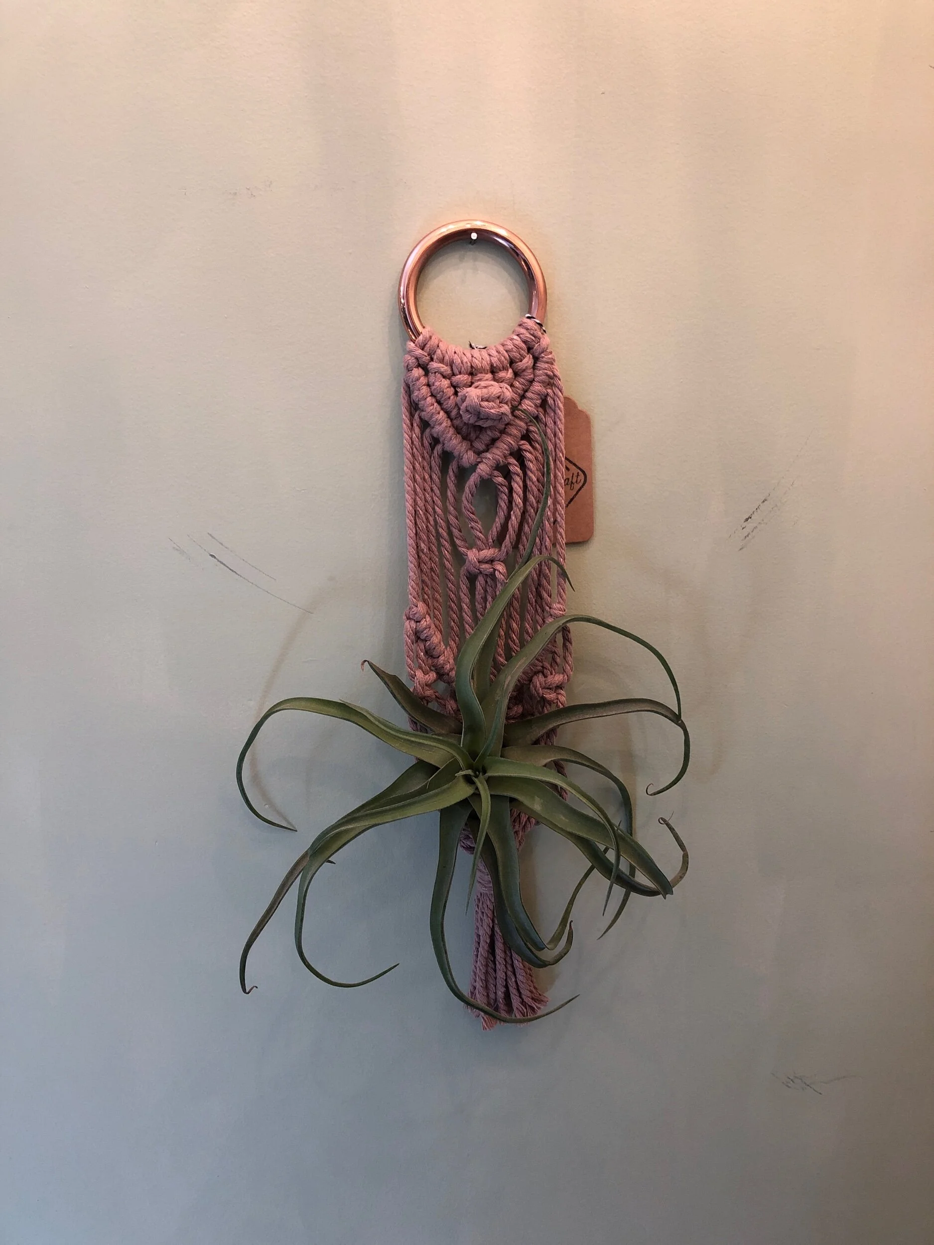 6A47ABDA-2918-4F33-9CAB-D9838A9DB657