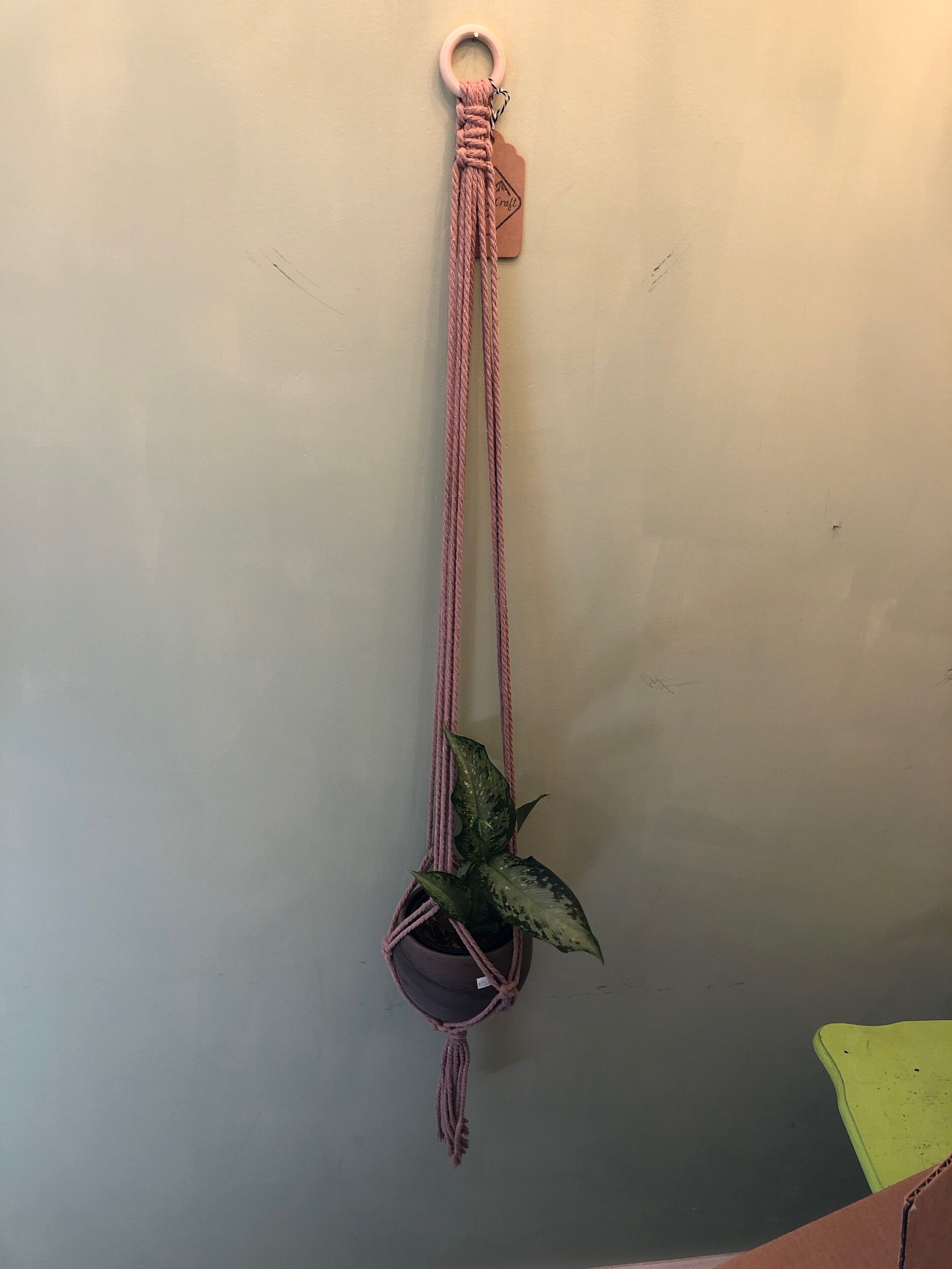 8CDFD865-9550-403B-8E6E-C9021C219418