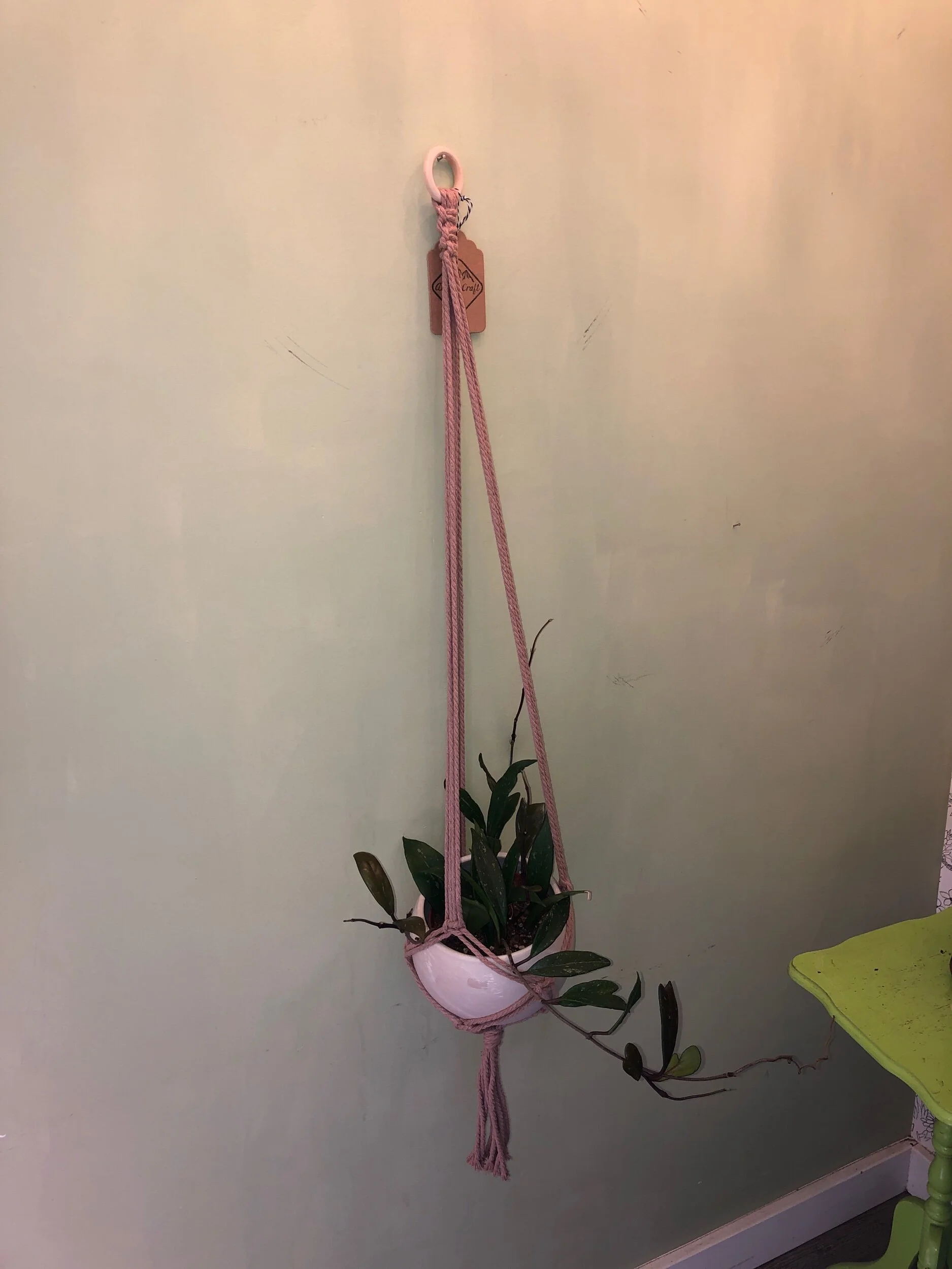 824A2113-C57D-449A-9FBE-0FE35869C09C