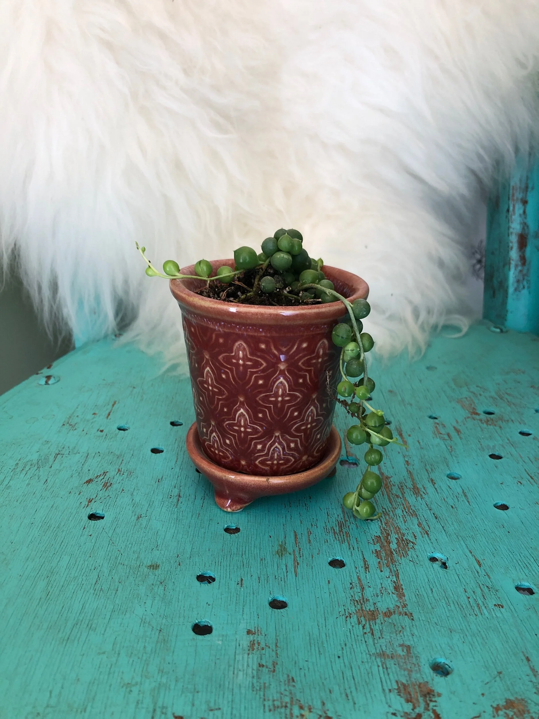 AD65B994-479C-4282-9C0B-658C8DE618DA