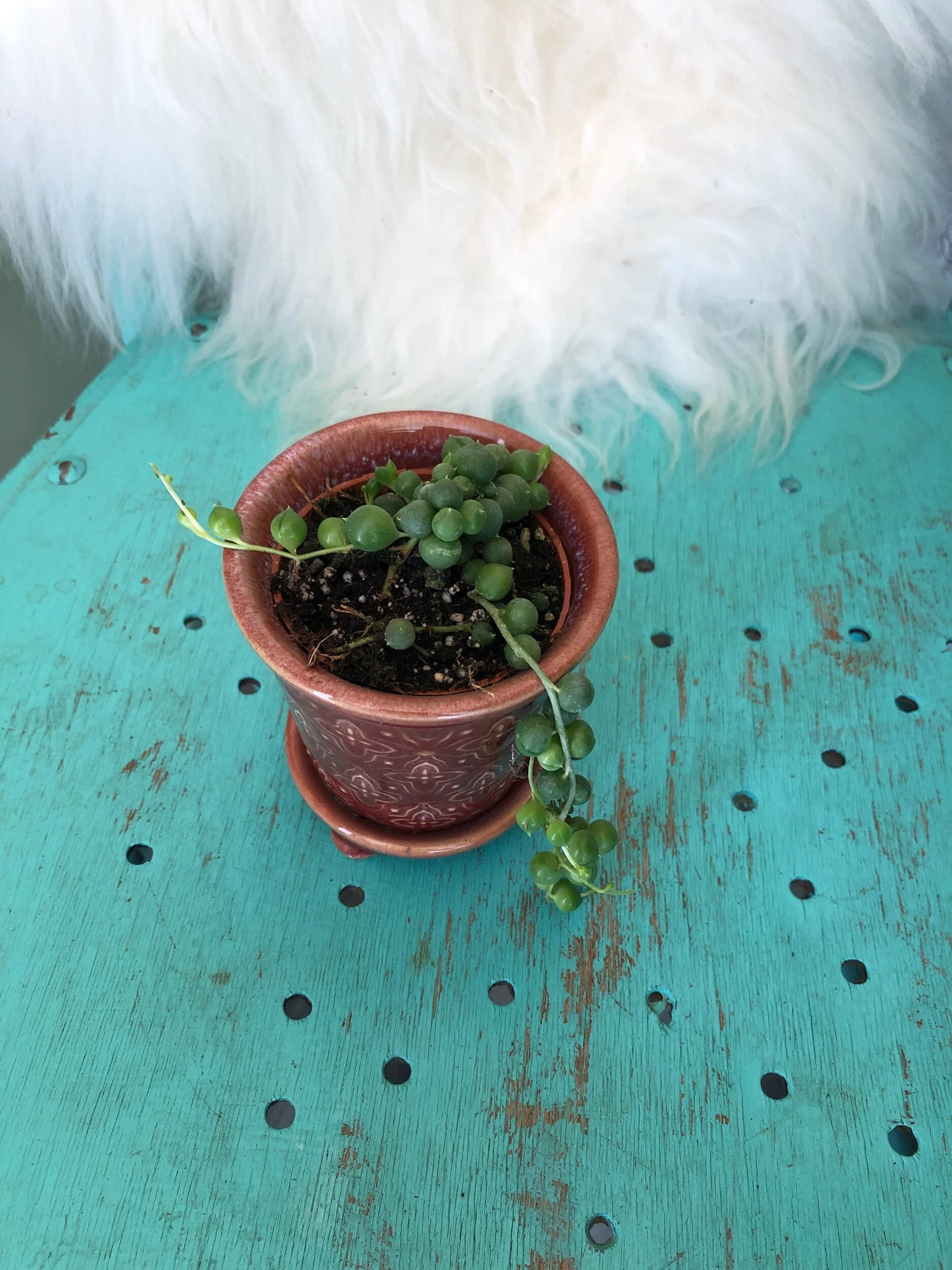 83071FCD-8057-4101-966E-E744CB0FA515