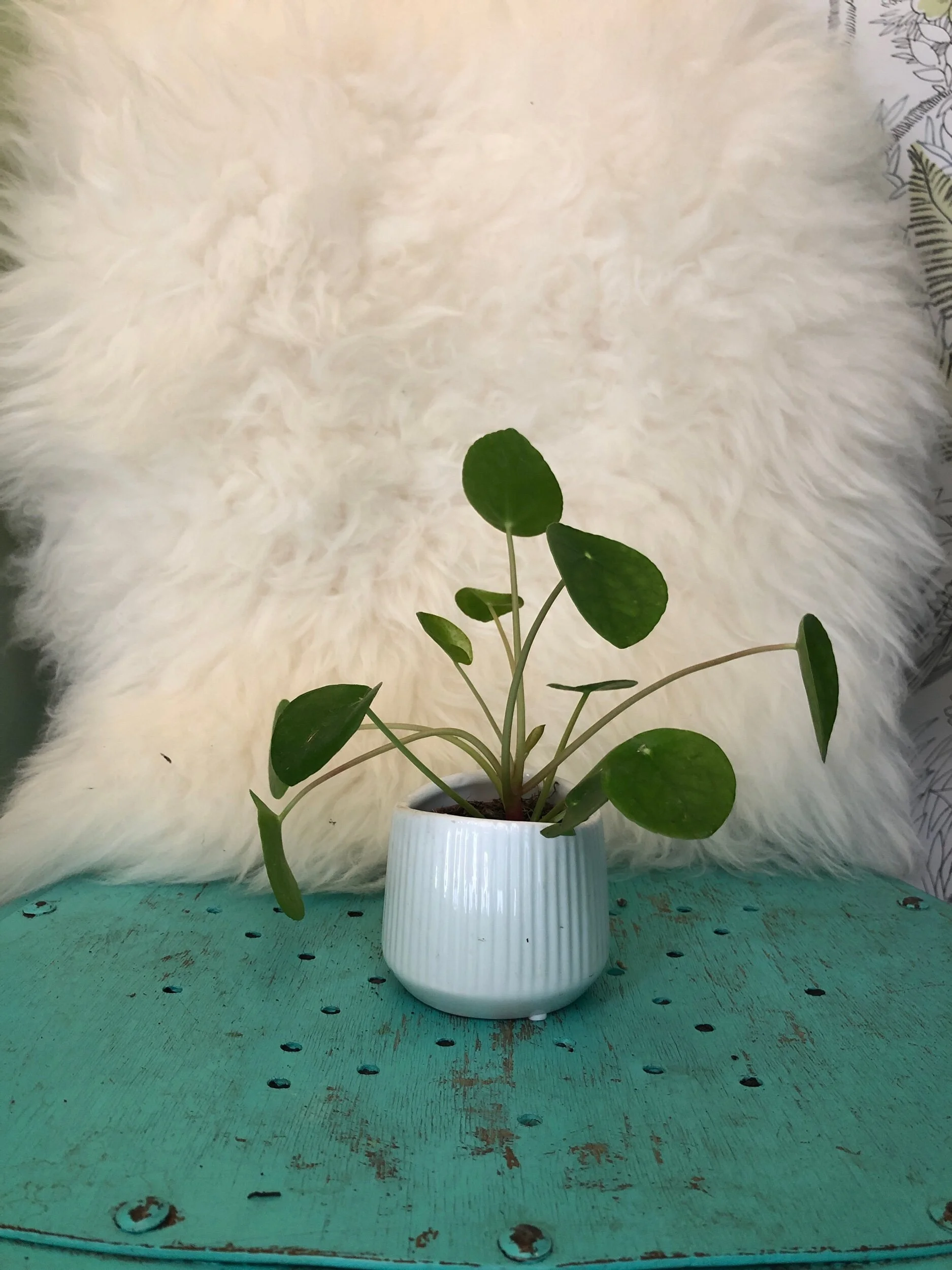 925052A8-623F-4B9B-B924-07EB44BABF1E