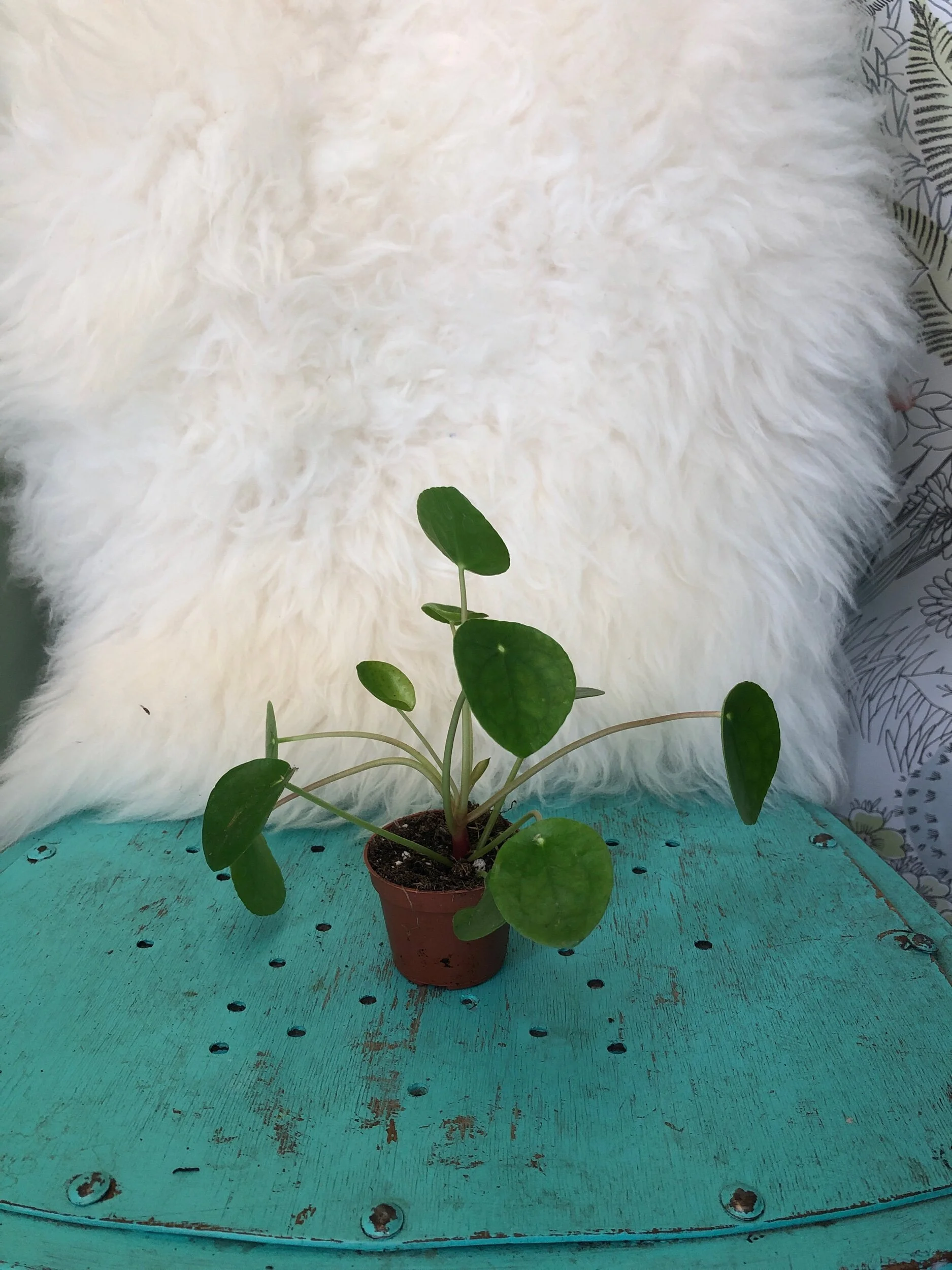 EE367E50-91B4-447F-90D5-7BE74519A6B9