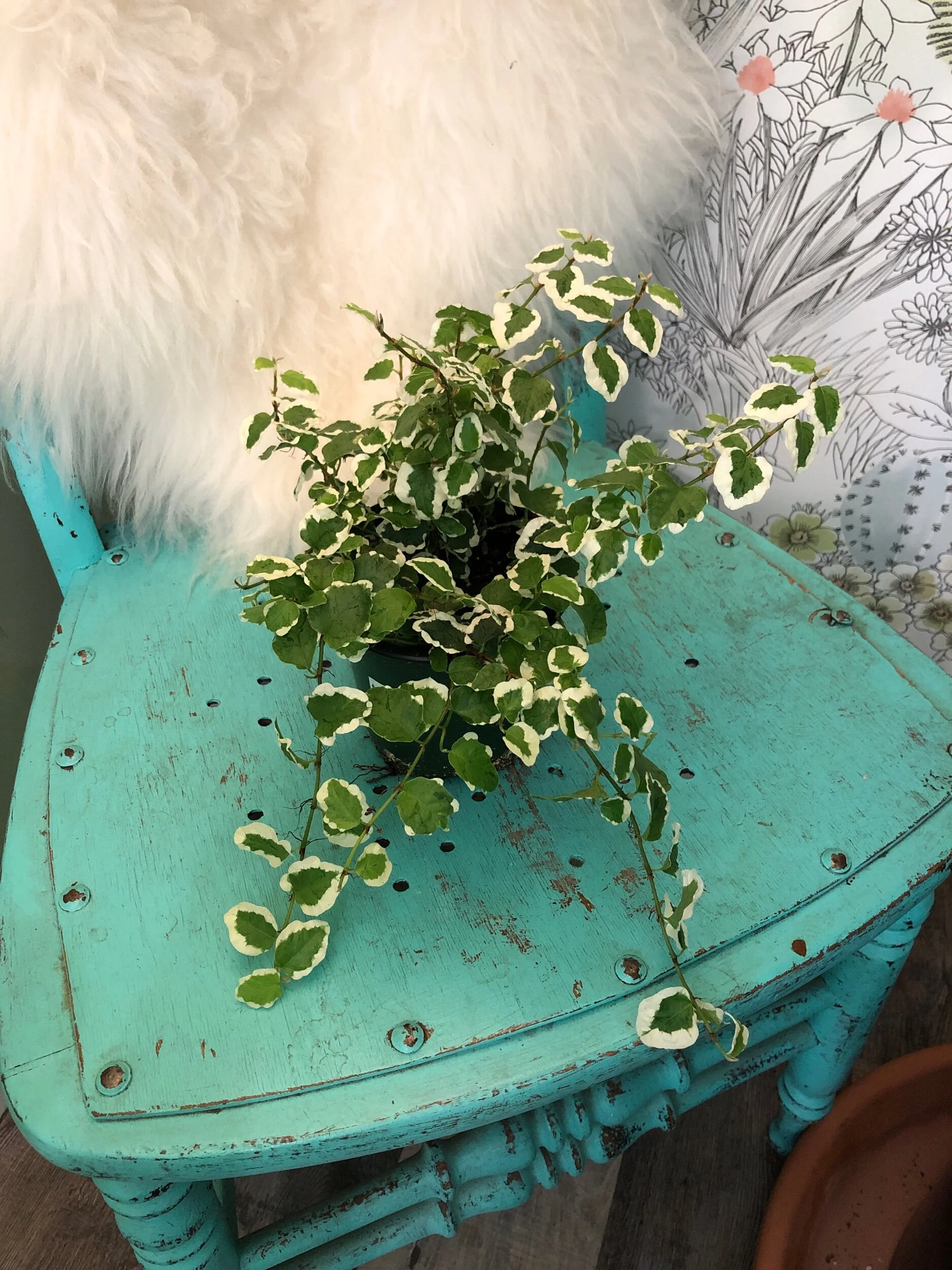 9DCBB005-0451-41A5-9283-789C61DDB56C