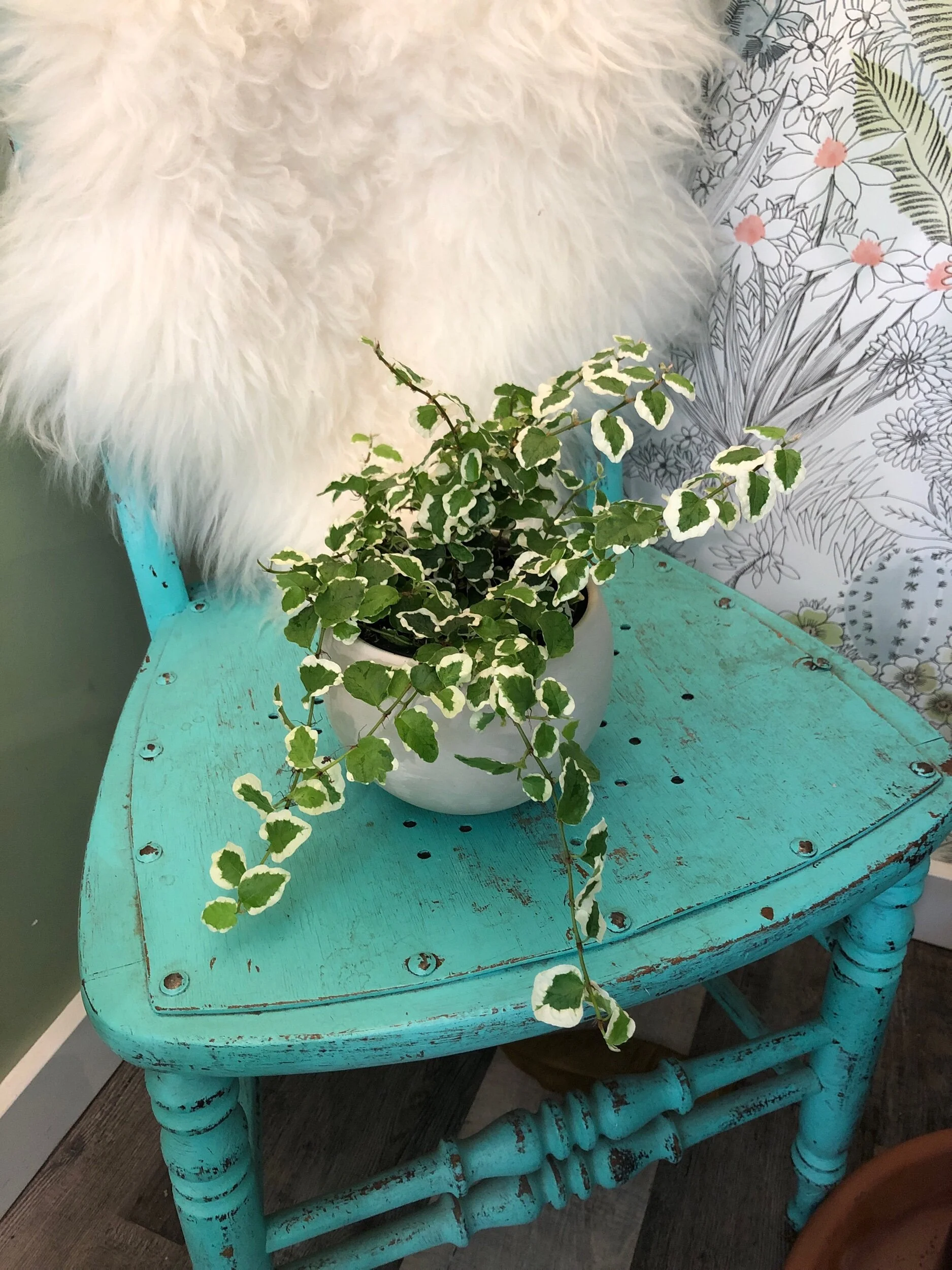 43AACC6C-140B-411E-AD15-5998F173CE45