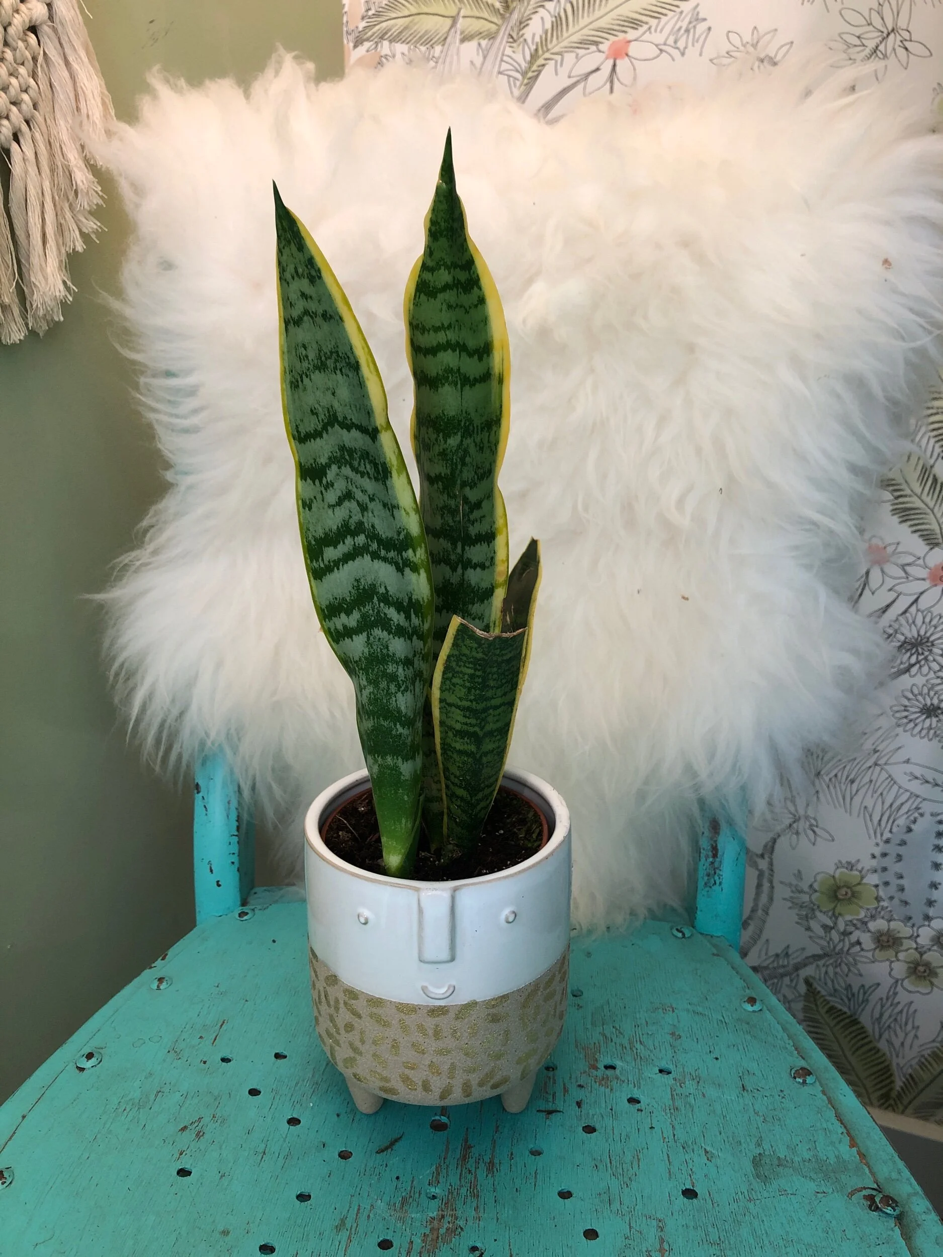 8170D115-F6F1-4708-B0E0-FCD779D41CB5