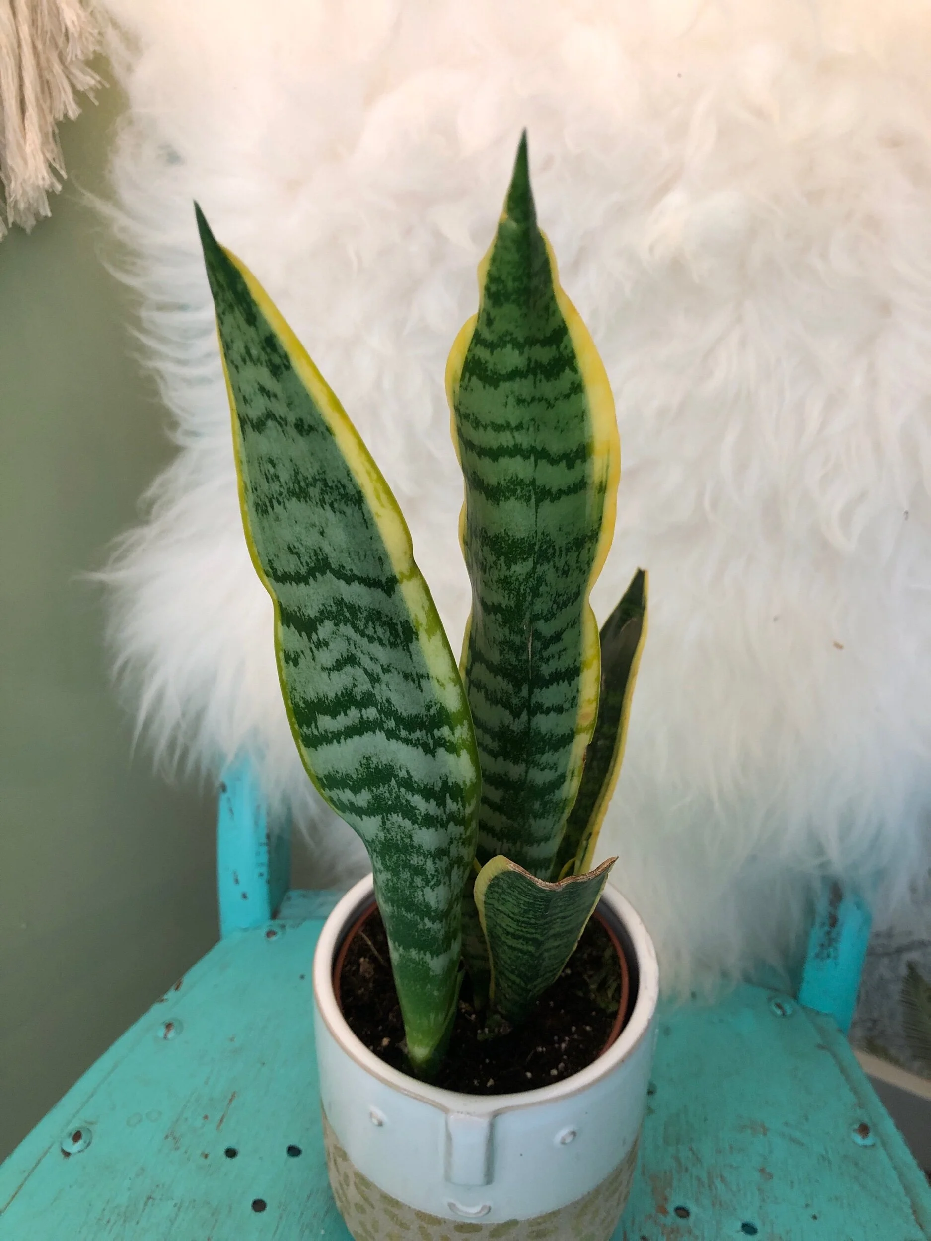 88409A7A-4F7C-4097-A9C7-6BCCDA9E767D