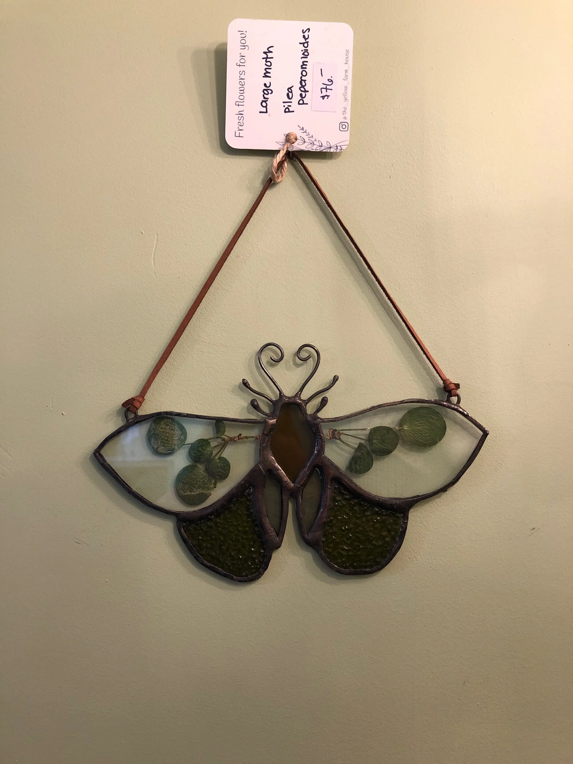 3309B900-4445-49AF-BC9F-19C38DF0D06A