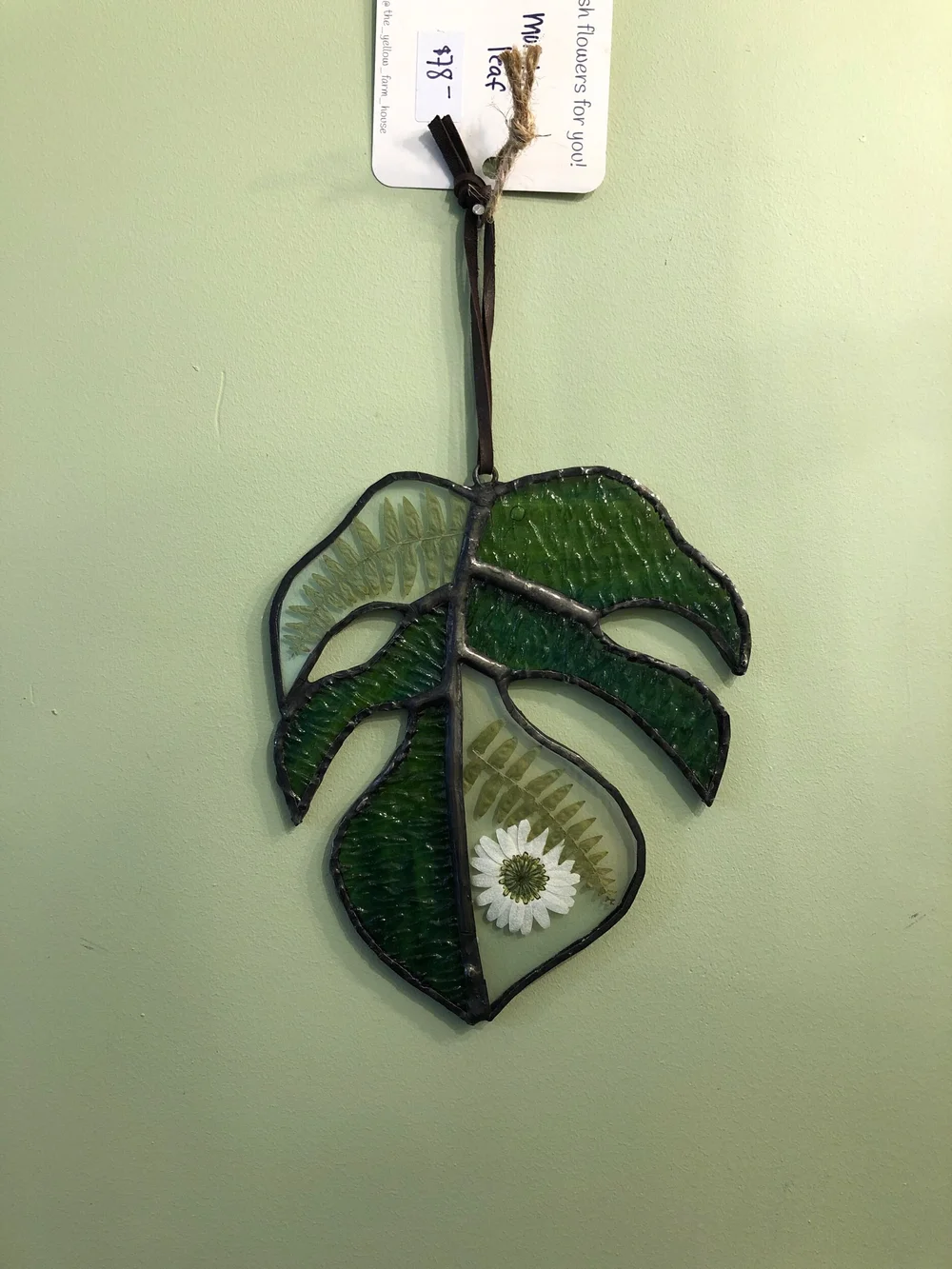 MONSTERA LEAF STAINED GLASS  THE PLANT PLACE