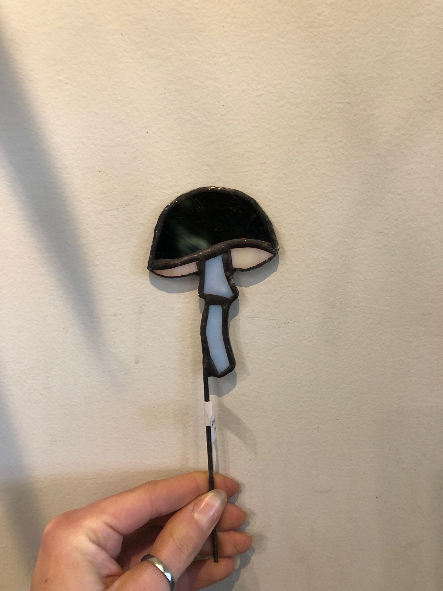 3384001D-6EA4-4786-93E5-F09EAFD4045E