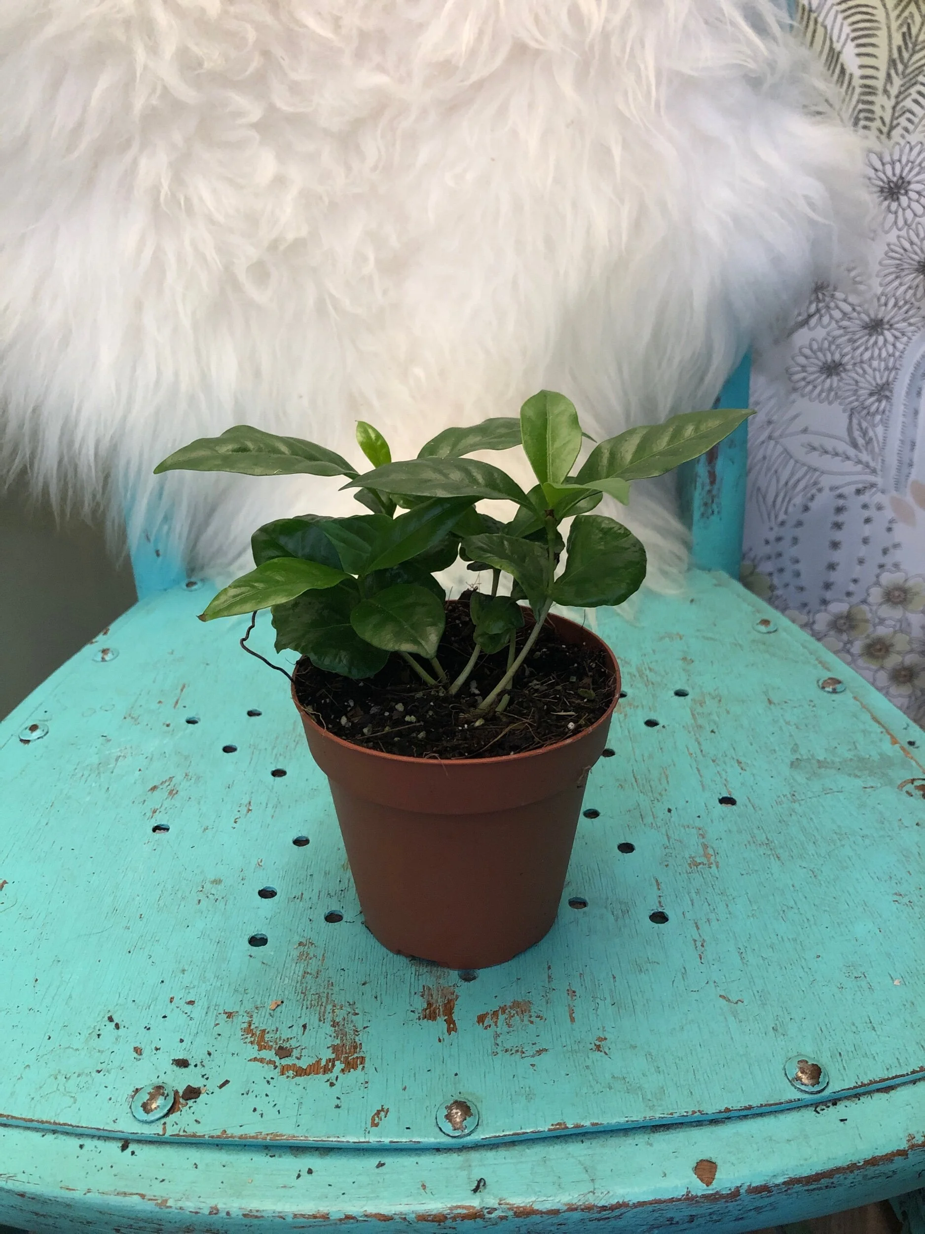 90989ED1-3155-4DDE-8A1E-69EBDD99AA85