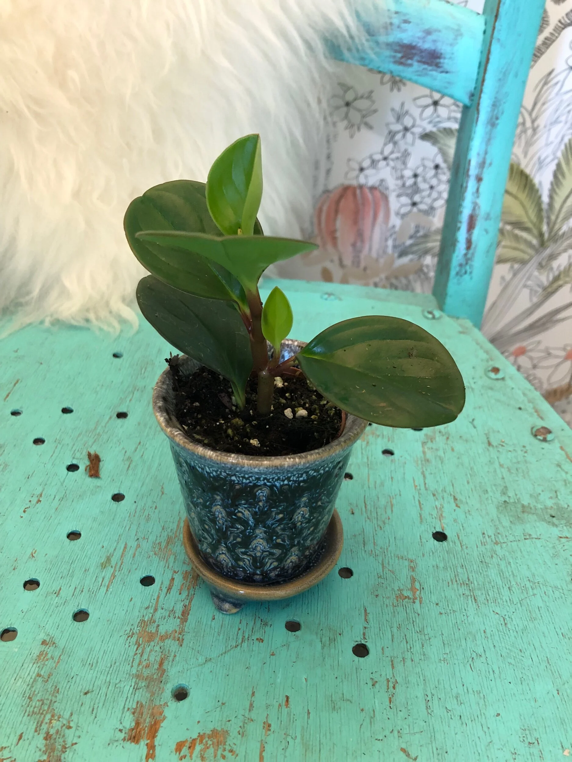 AA1B6CB9-CDA5-4561-BDB4-00E1F2BFD5A2