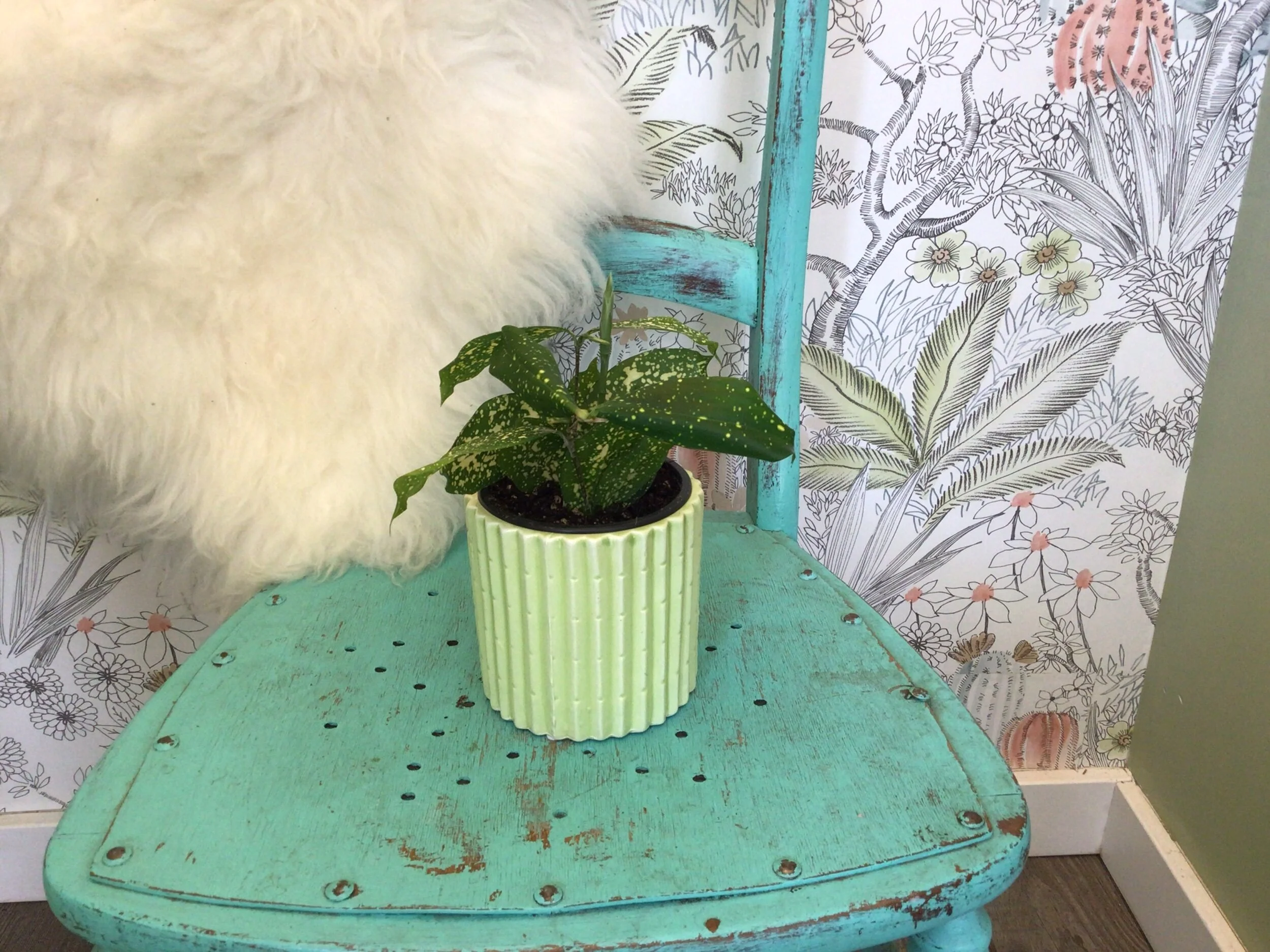 97E0BA02-765E-4F44-B64A-6DF42001199D