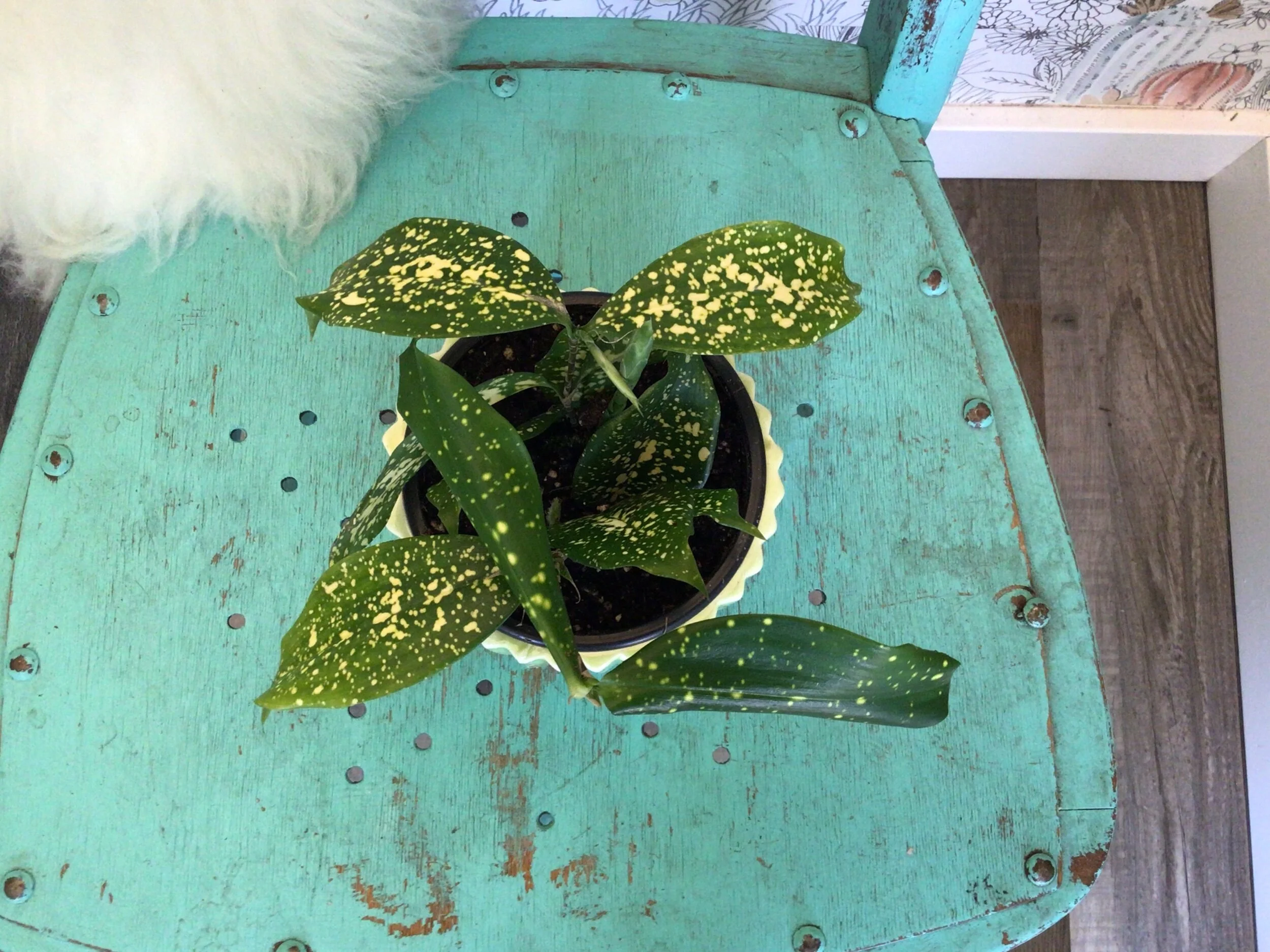 B04DF7C7-BF91-4F65-9EC9-7562C7FFE98E