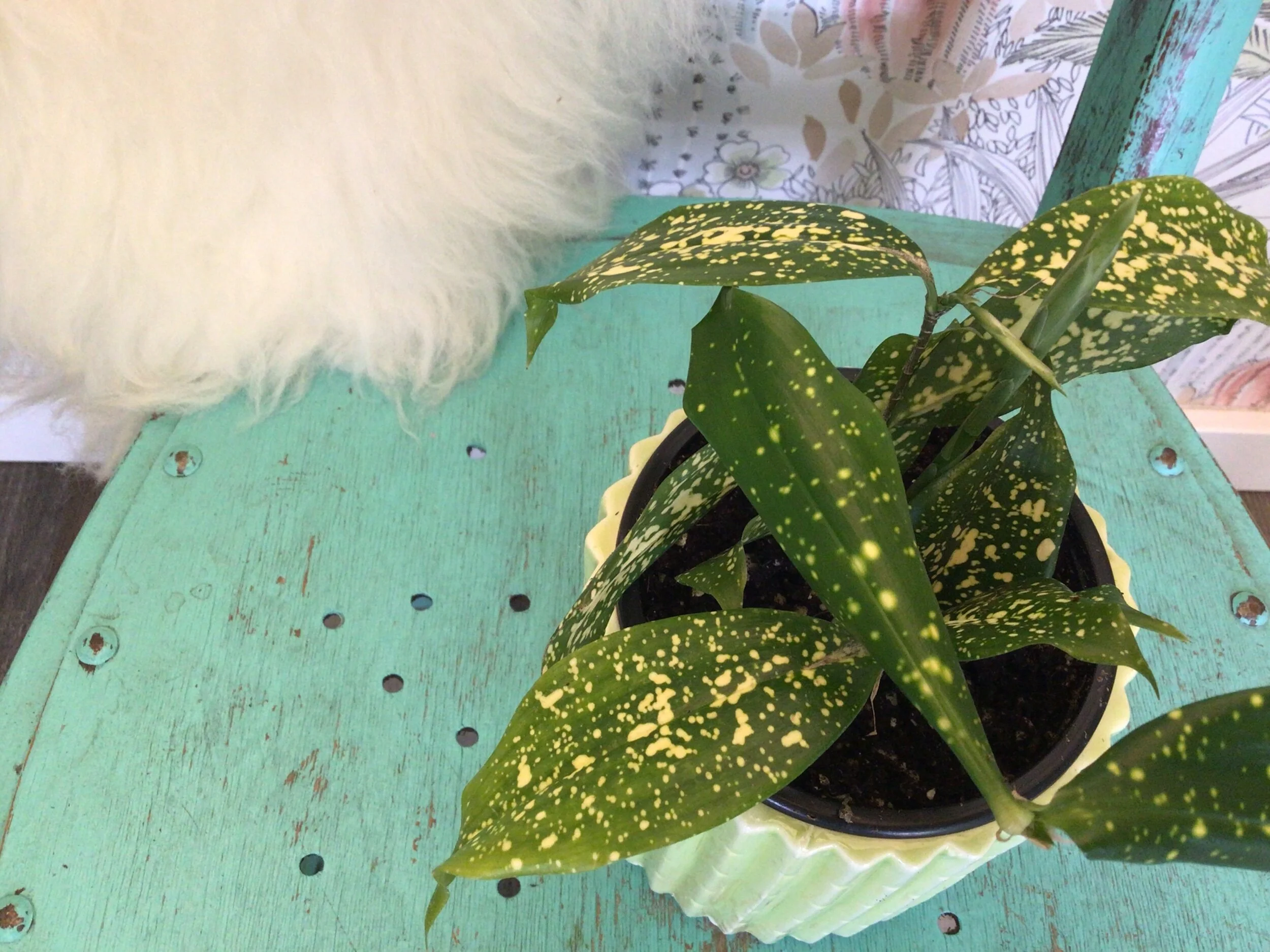 C4C6EF00-3F34-42EB-BAF6-6EF0DC0CE622