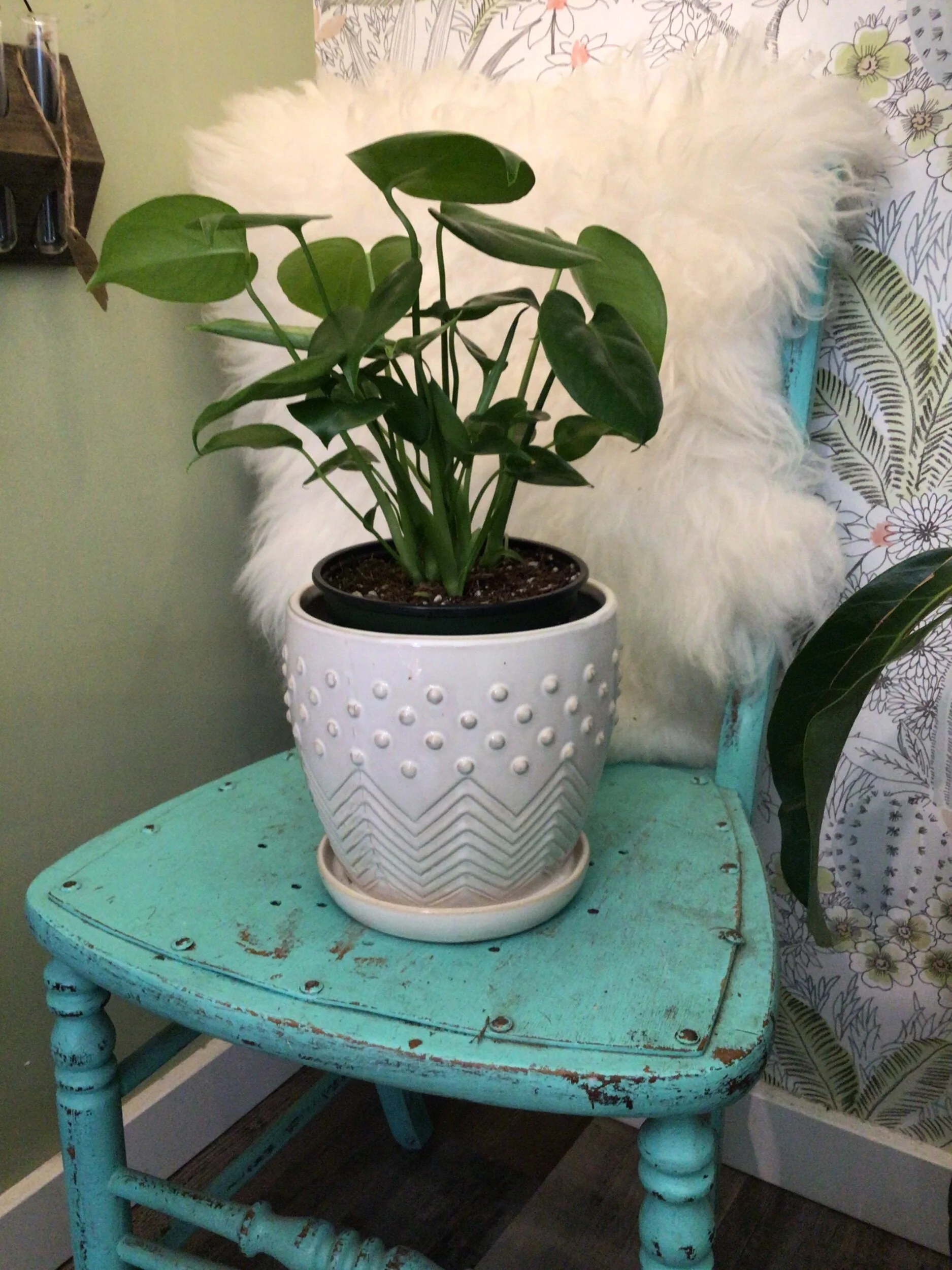 CB35ACF4-8491-4263-A48C-B36D51CE0F5D