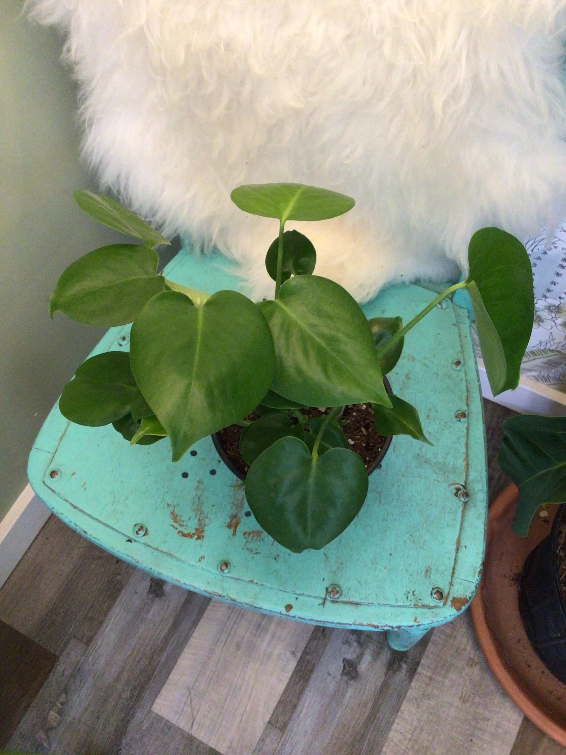 F1A08A63-A2BA-4190-B7D1-F569411490D7