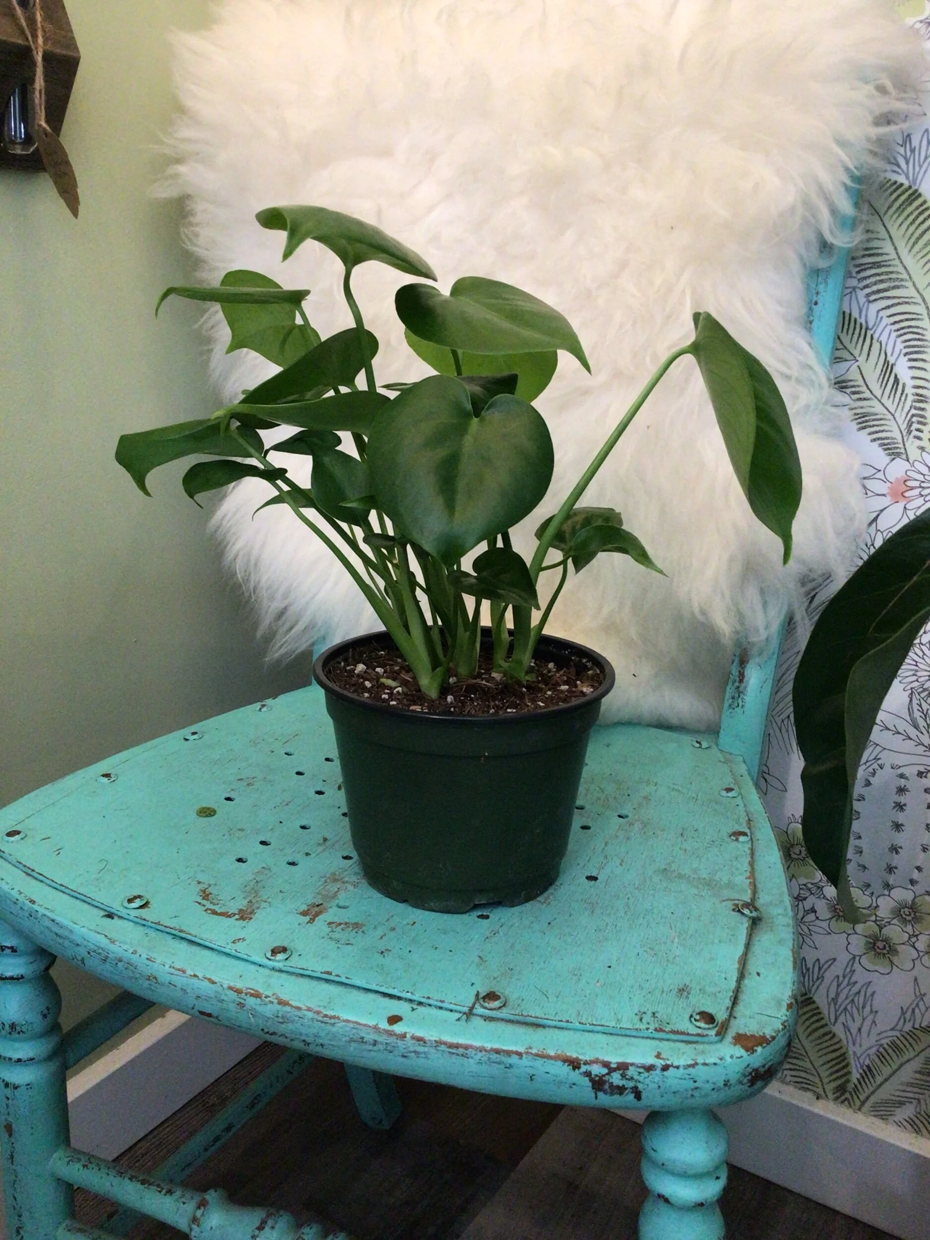 EC1436E8-CAC5-41C5-B672-C36770FF0A48