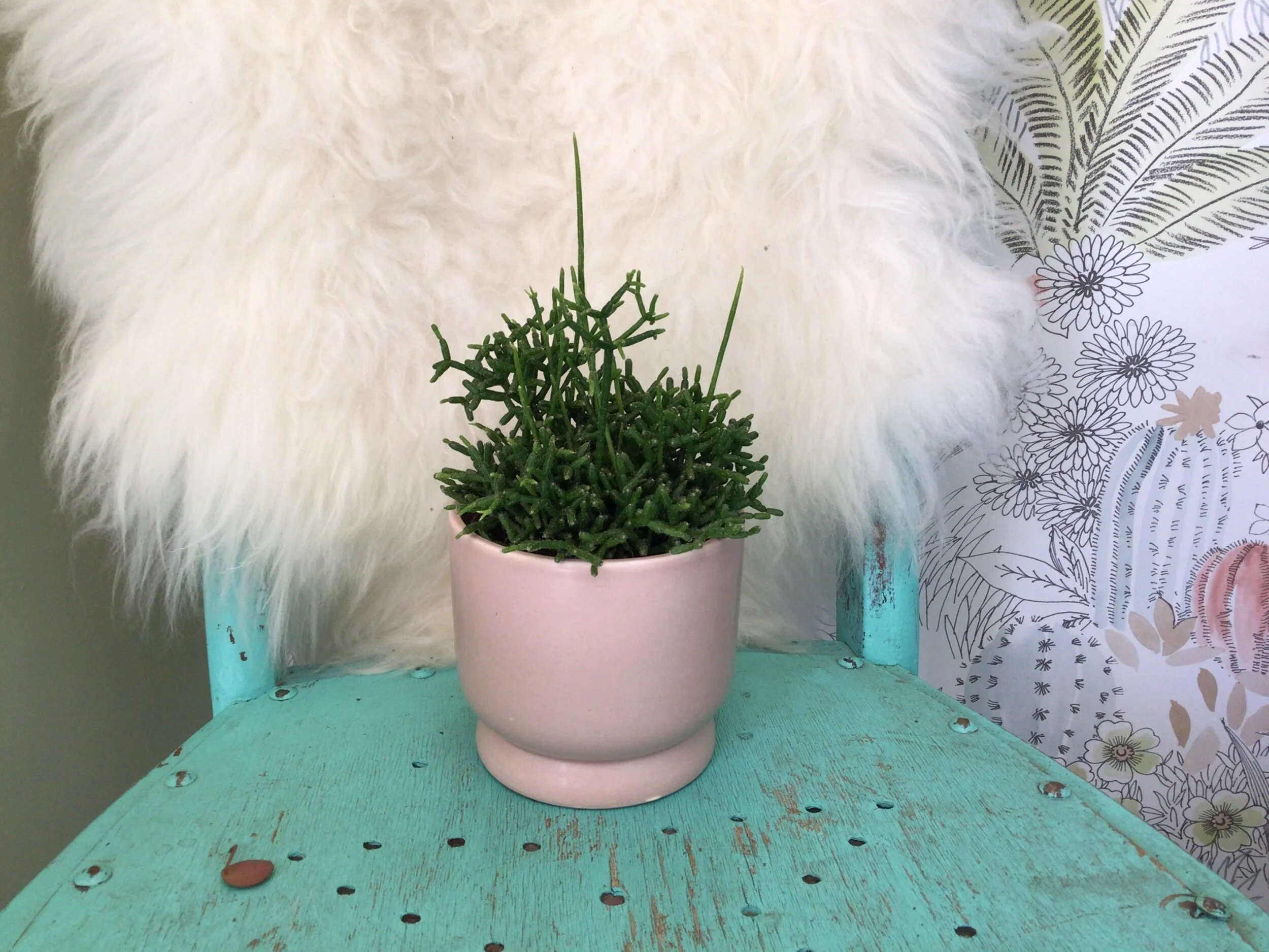 CF423089-AD0E-4F9A-B72E-2B2A1552BEF9