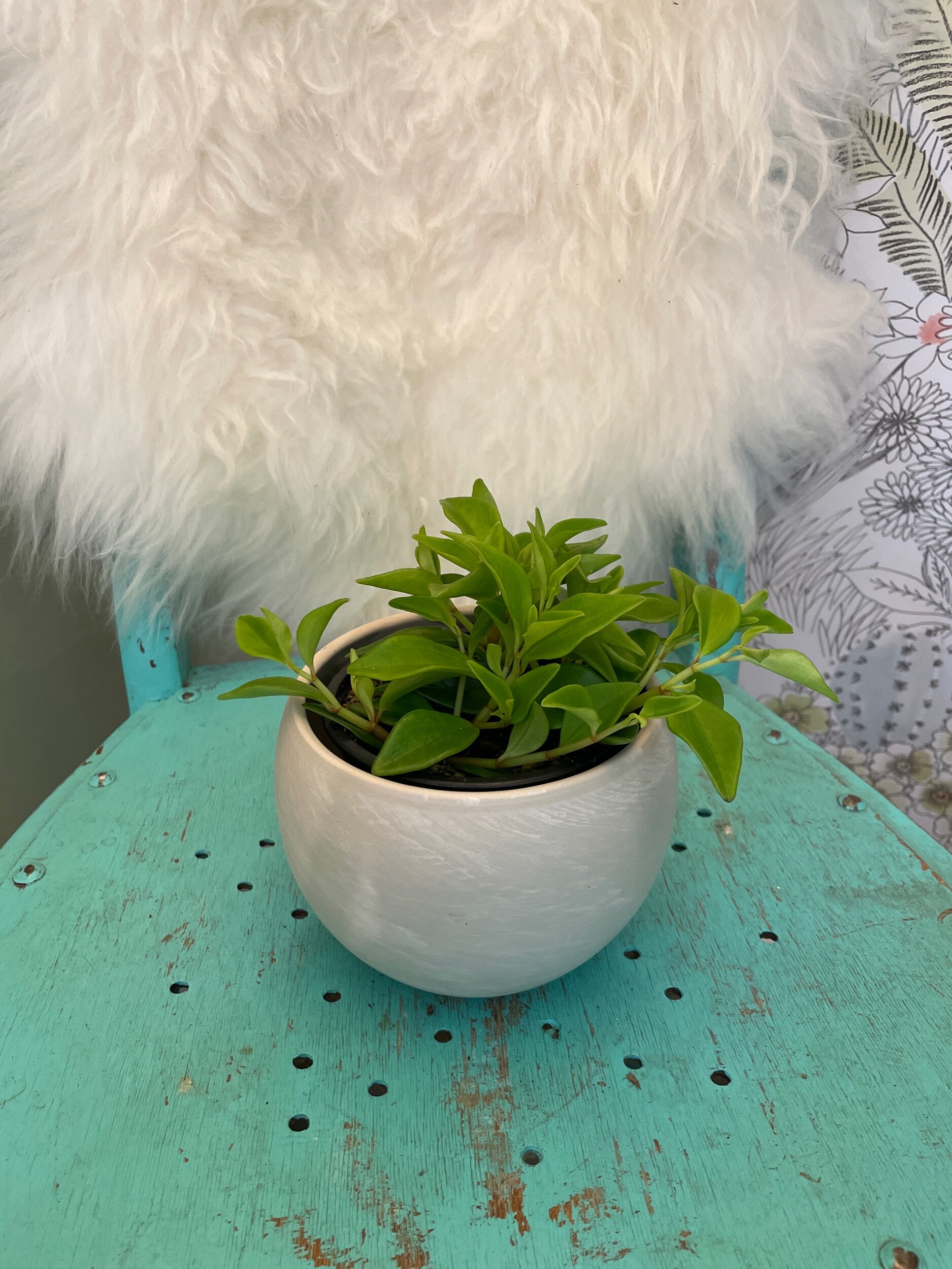 37283908-82F5-4EDE-9EF5-CD8894661DD7