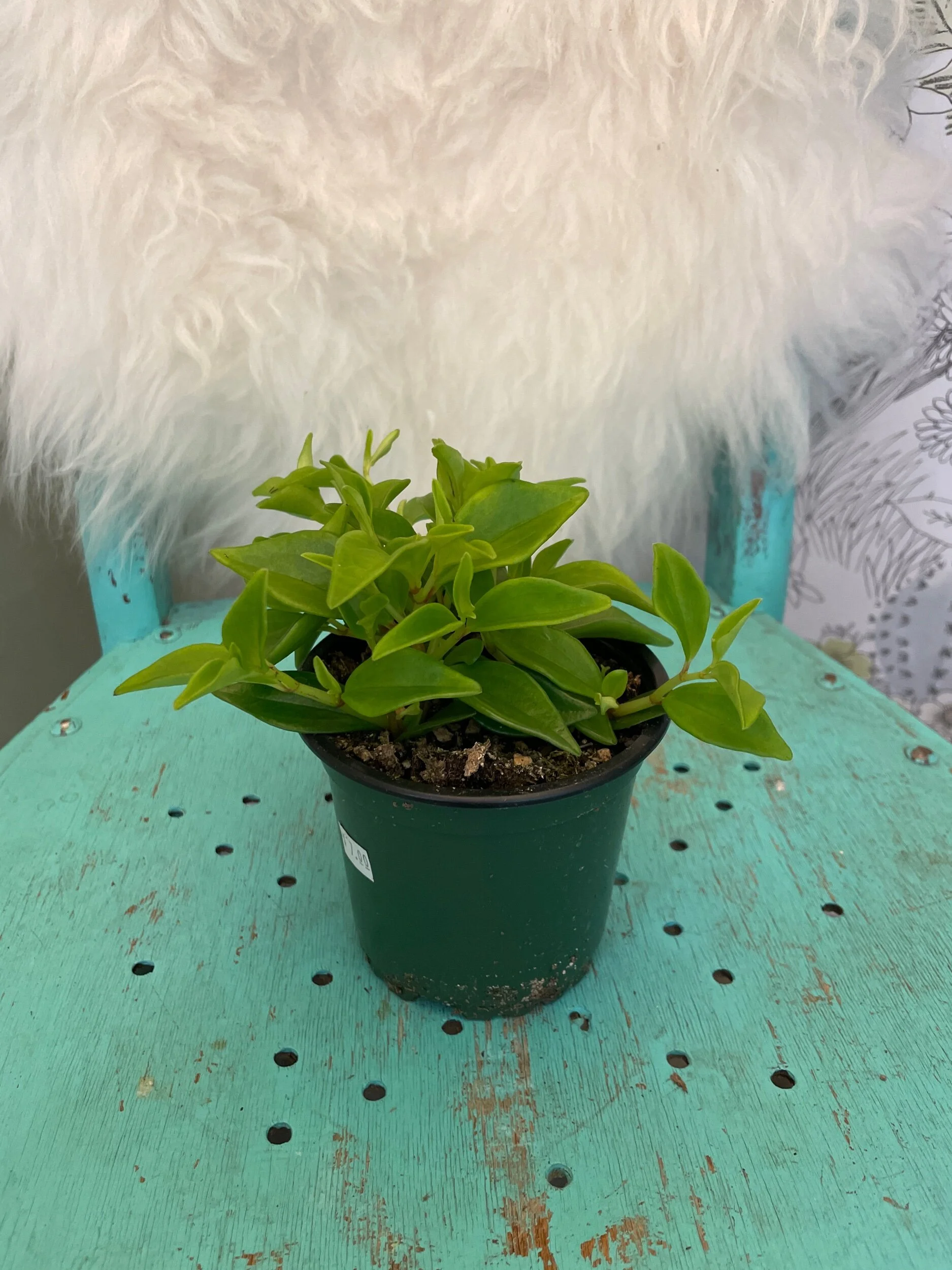 9D5971D9-69AA-4C13-841D-92A89BE41660