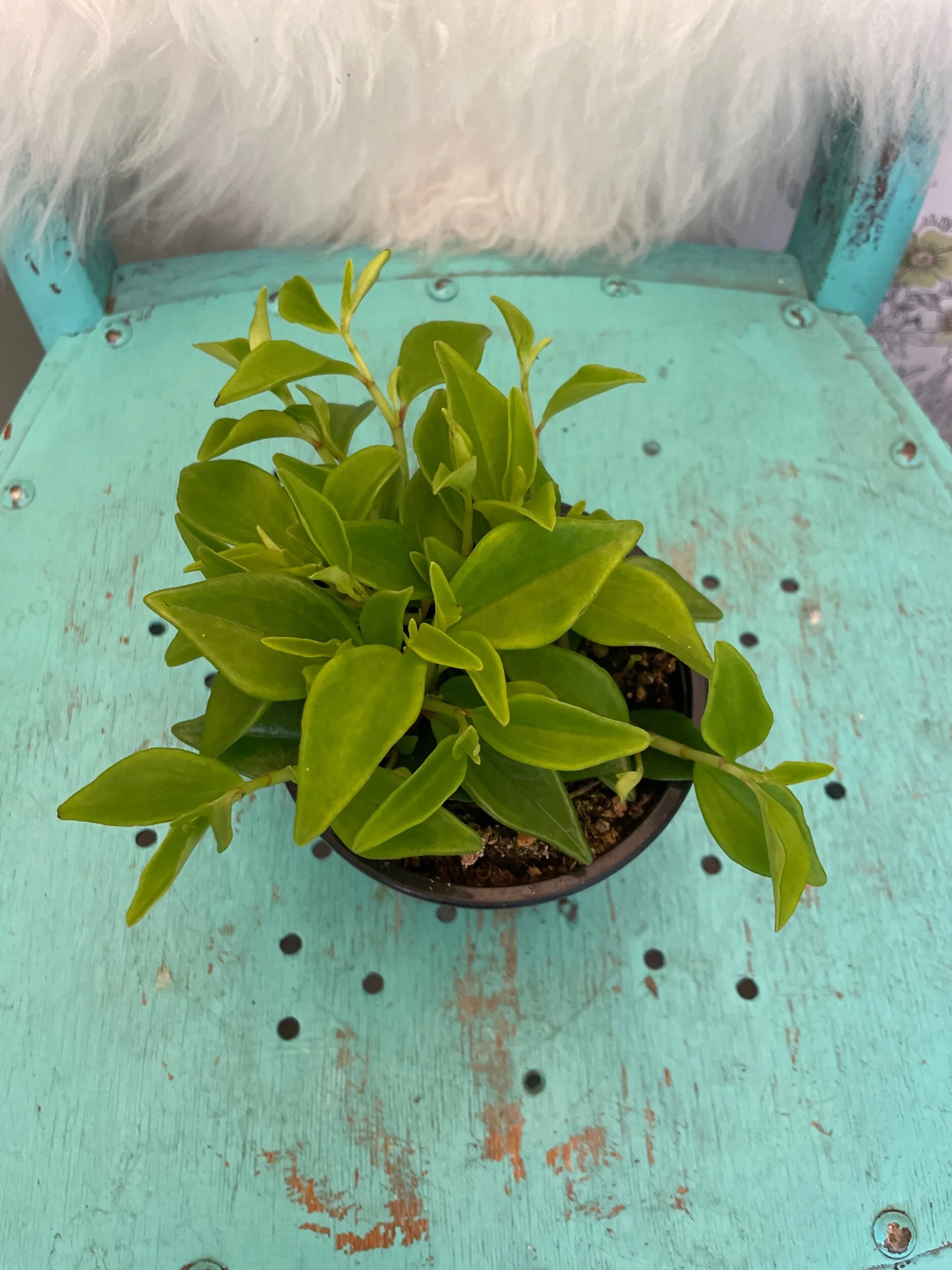 9352A3A0-BA4F-4074-8F28-87FDE7598387