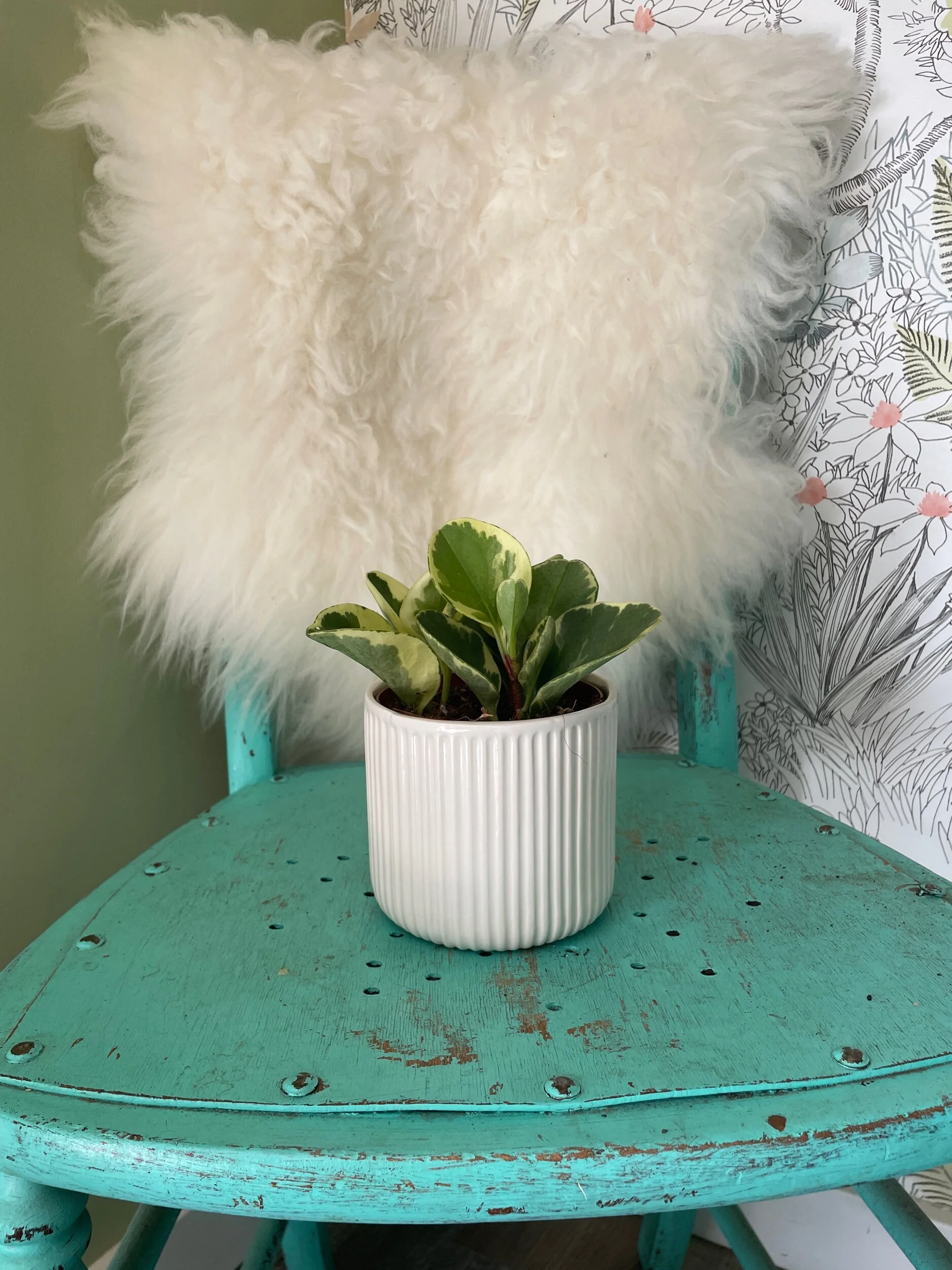 05C6DD51-6CD9-4D31-801B-1354C98F6E03