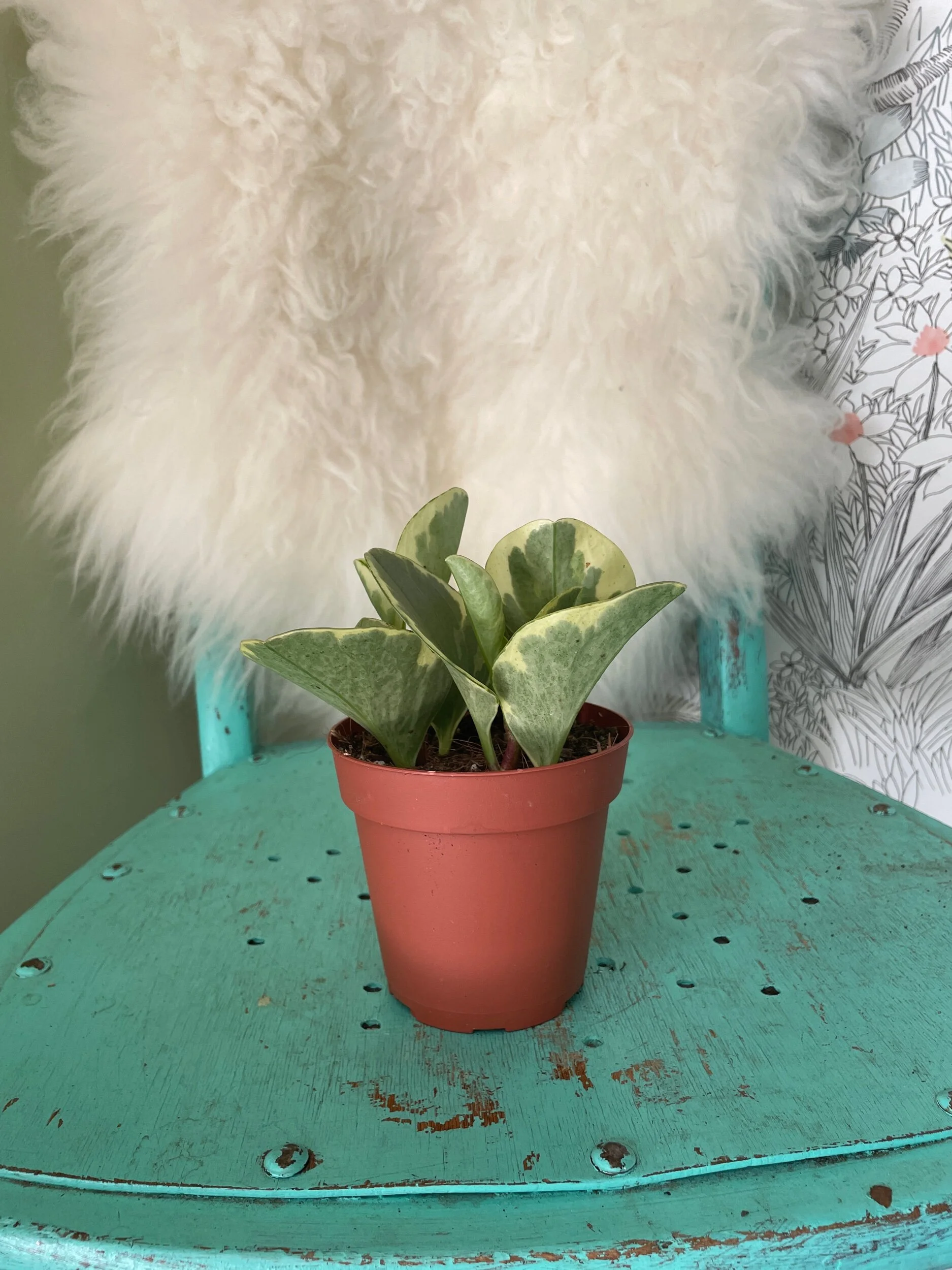 DD21584E-B1B6-4AAF-B161-86211F030E0A