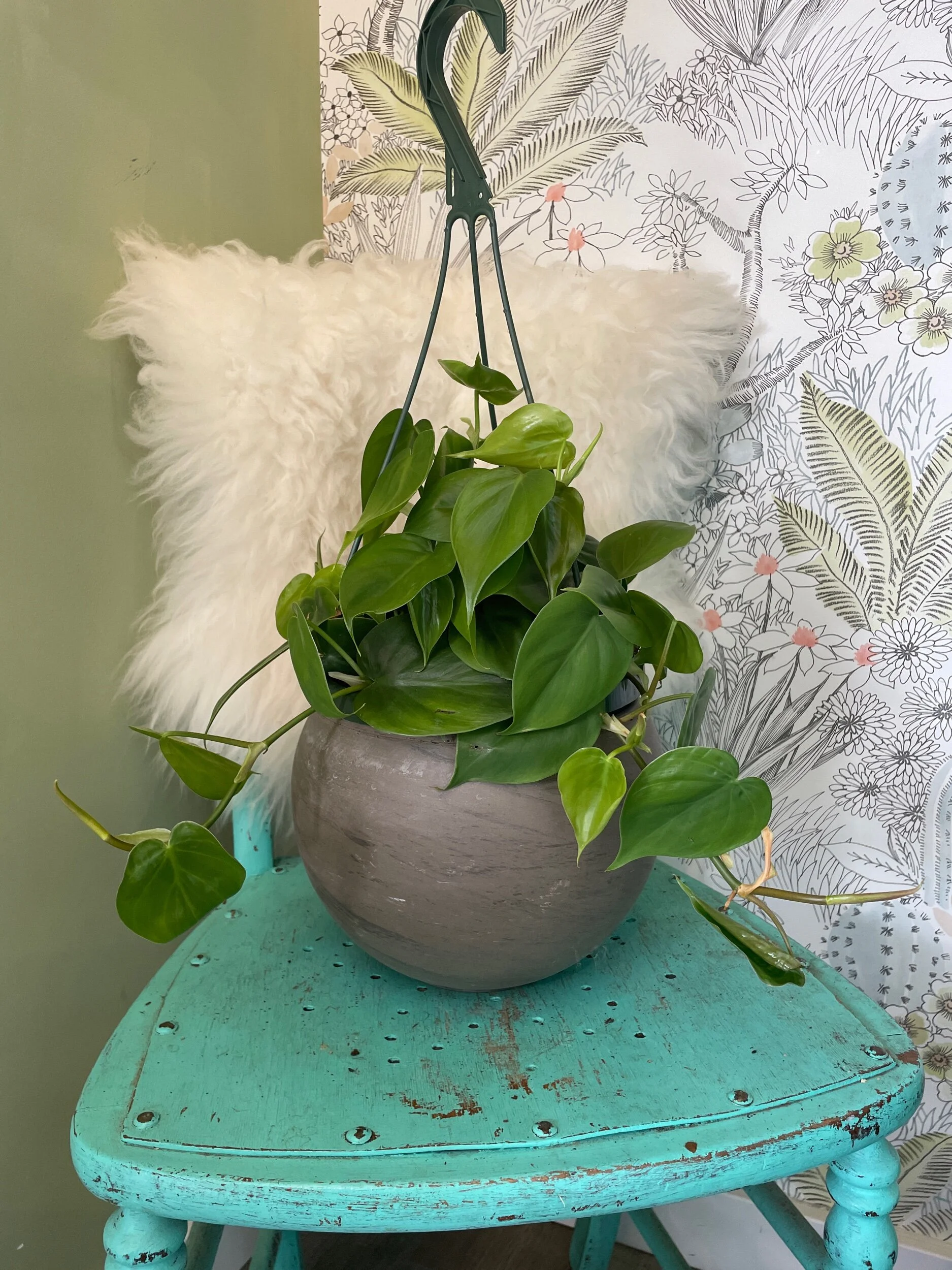 C0EF7AF4-A657-4286-99ED-7F574210B890