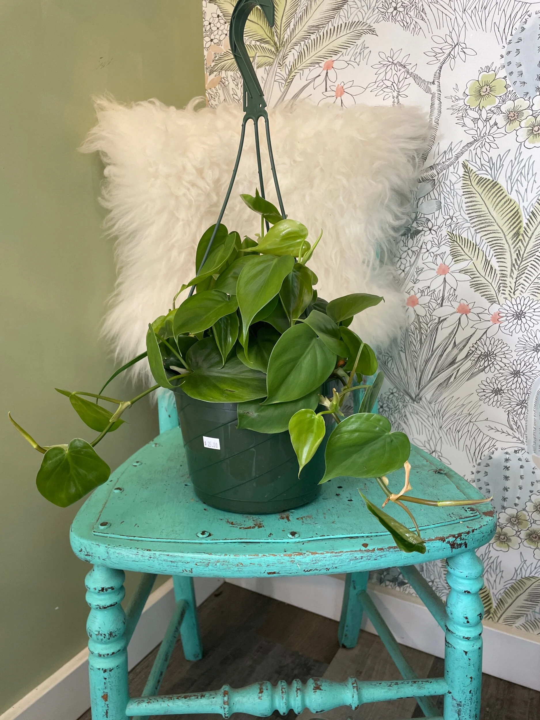 FDB39F28-318D-473B-8A3E-BB6587F1B280