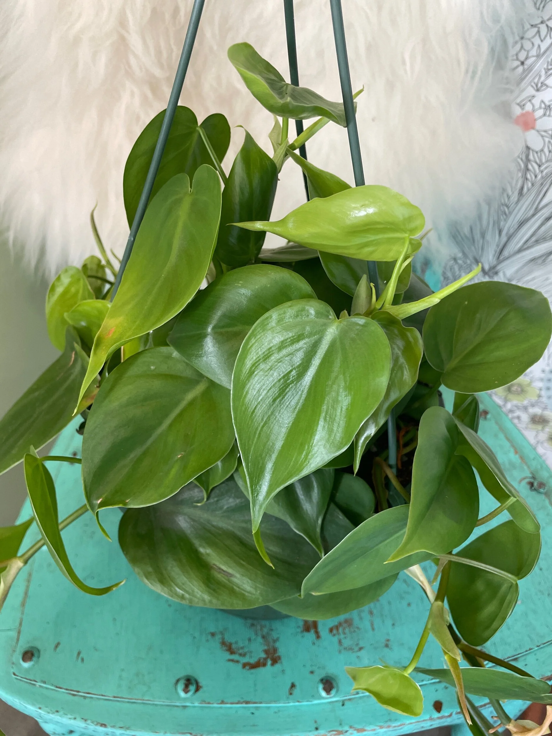 7F5B62FD-C390-4C4B-BE29-554380D5EB06