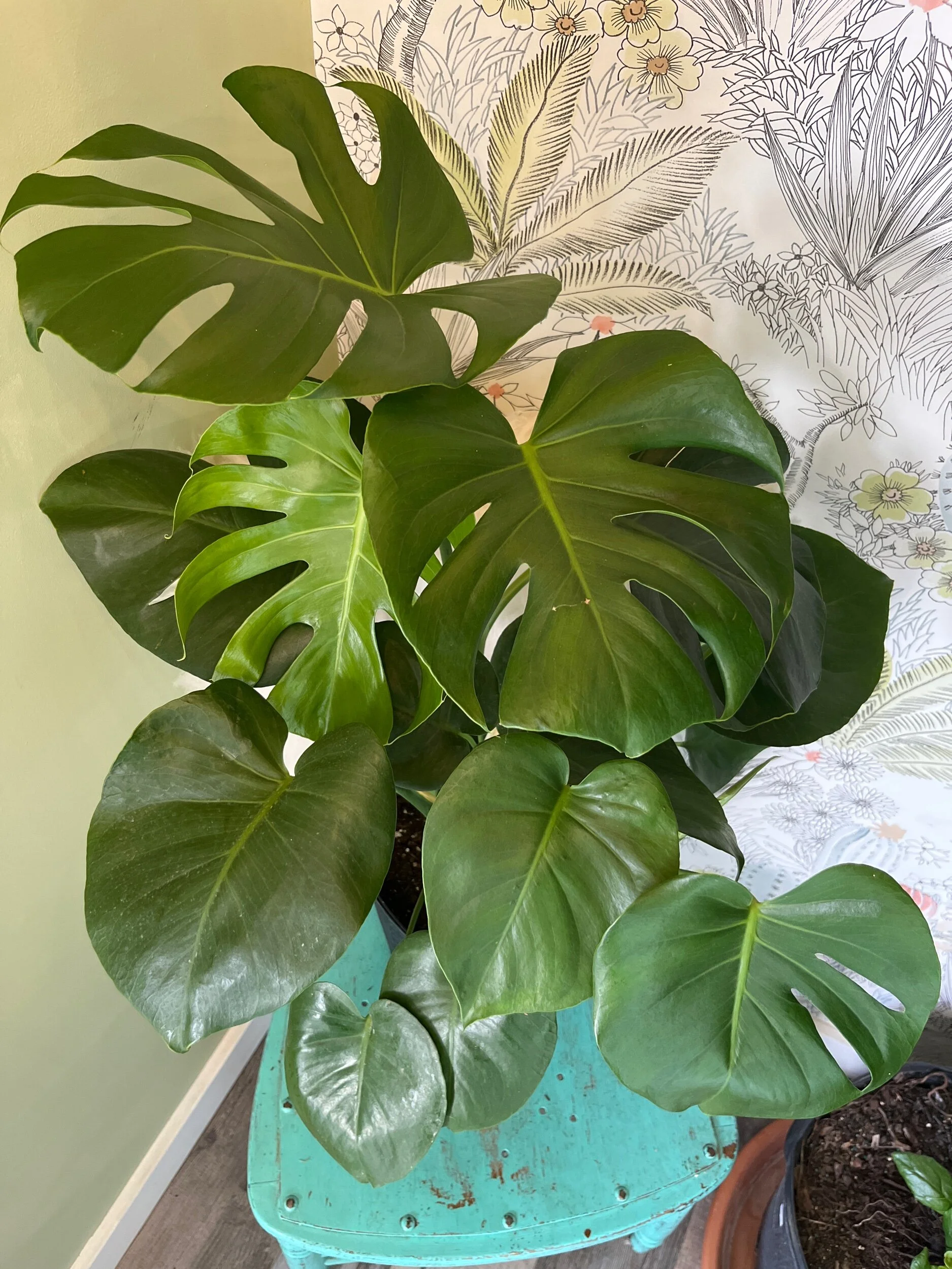 F3D3A312-453D-4DF7-A187-8382BB23FCD6