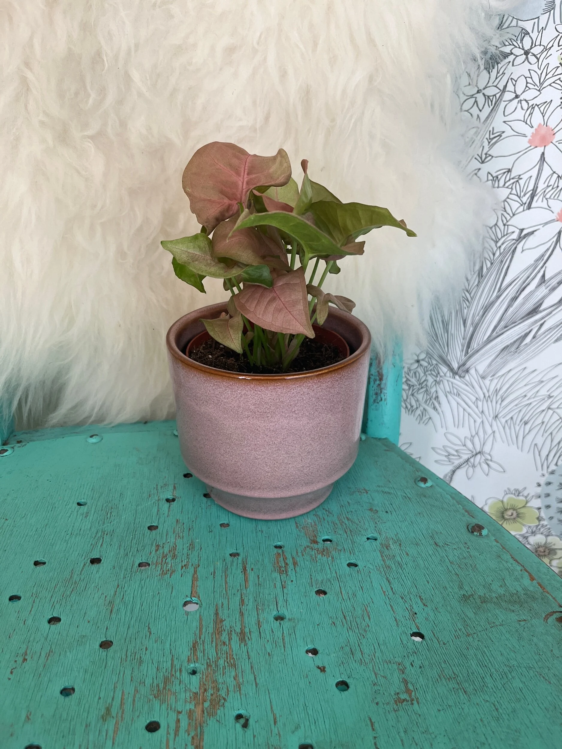 EA0025D5-1EEB-4D93-A610-8D870E9B13C4