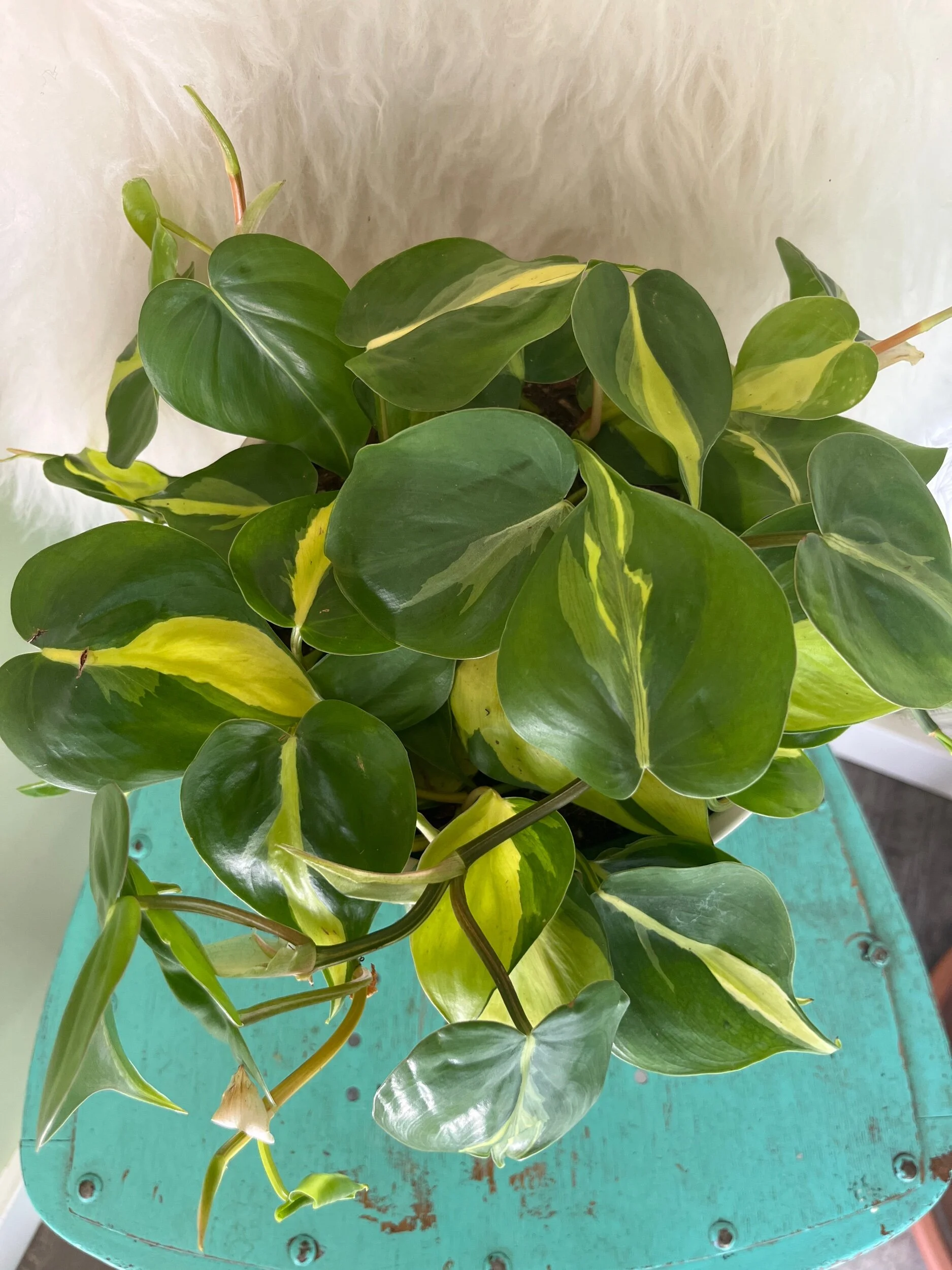 83F940E8-0972-4566-A468-3648AE3B2FBF