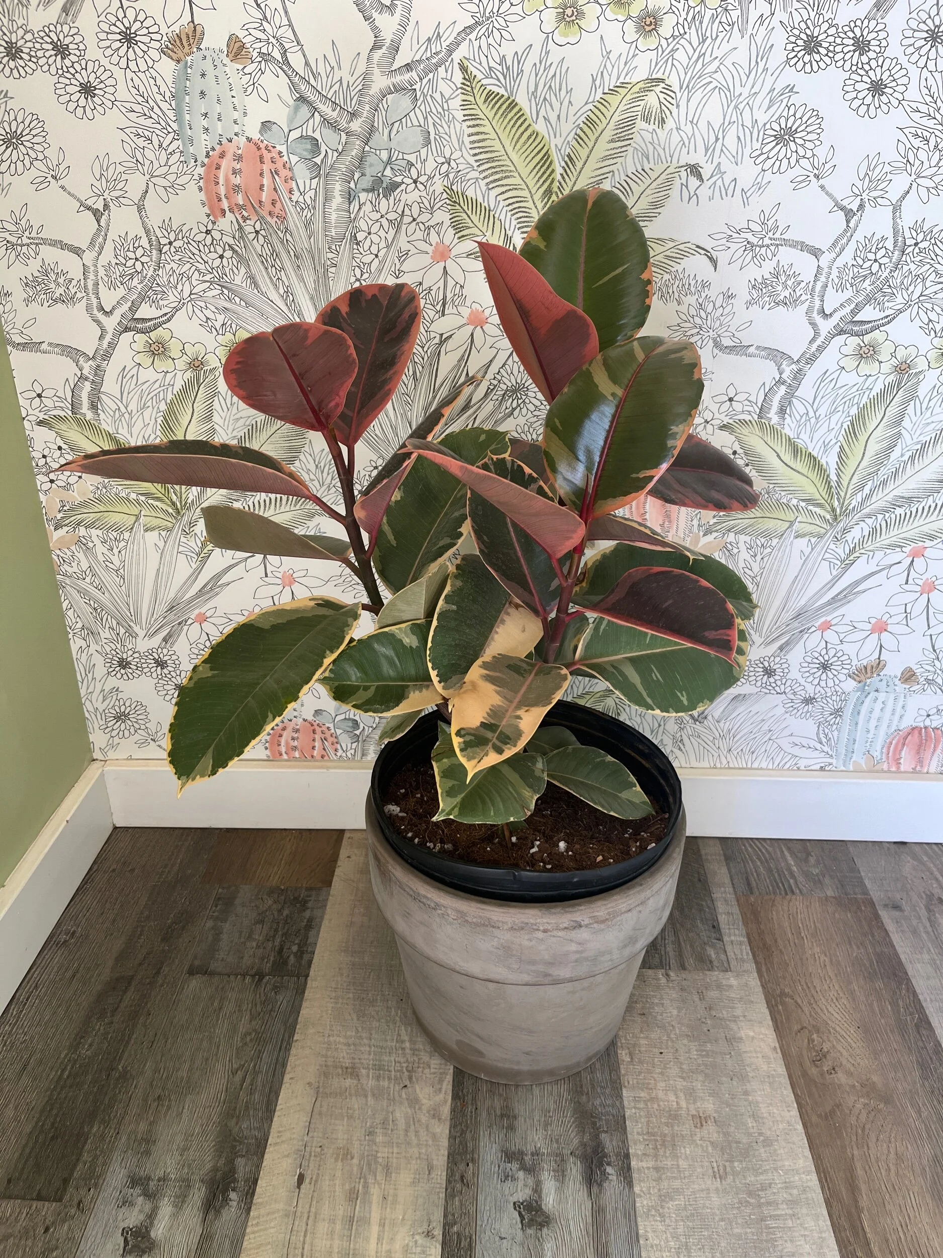 E7BBADC9-B5FB-437A-BDBA-AAE81E86F738