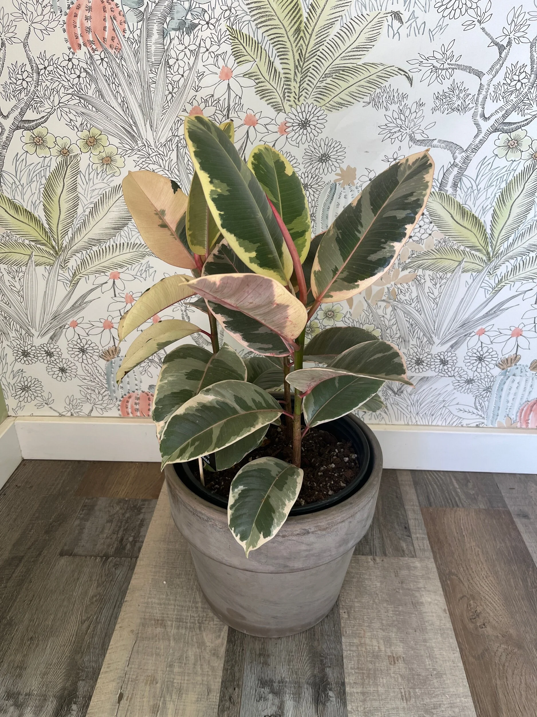 8513A3A7-10CD-411B-AAC3-72ADF68E8497