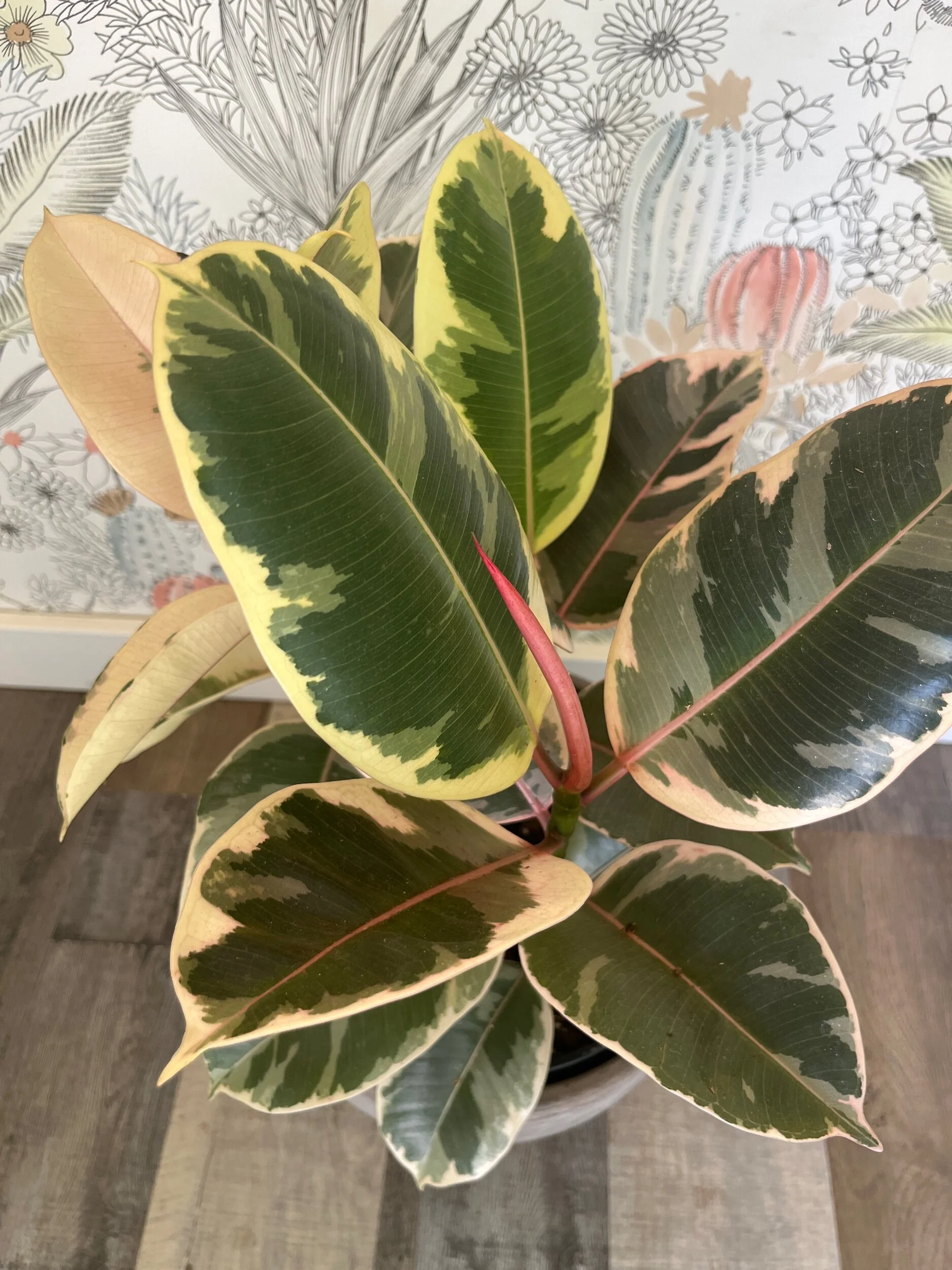 D16F4C82-1B9A-42F2-832D-29E278FB56DF