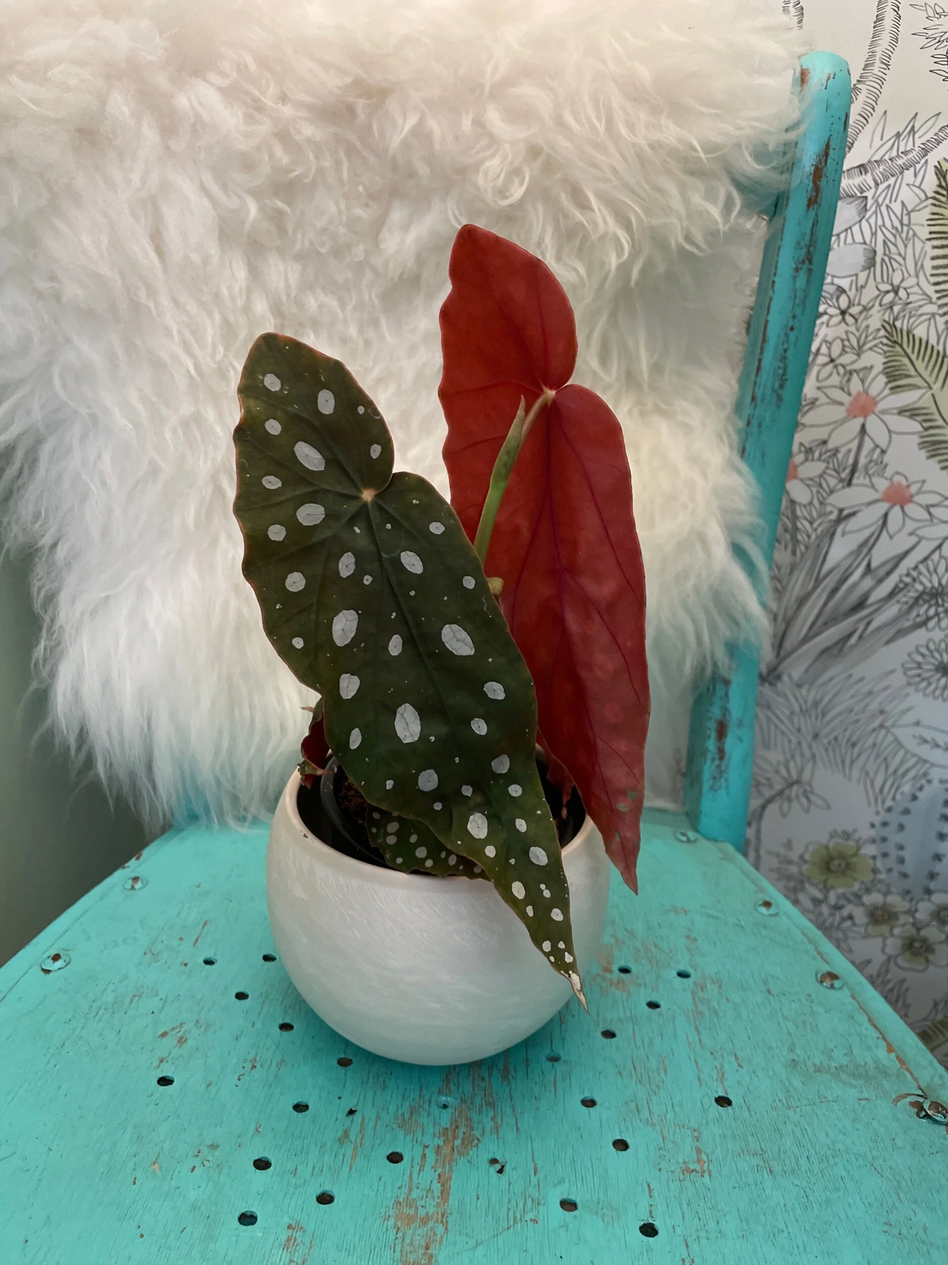 85B23F26-084E-442E-80CC-6DB5B6291B0E