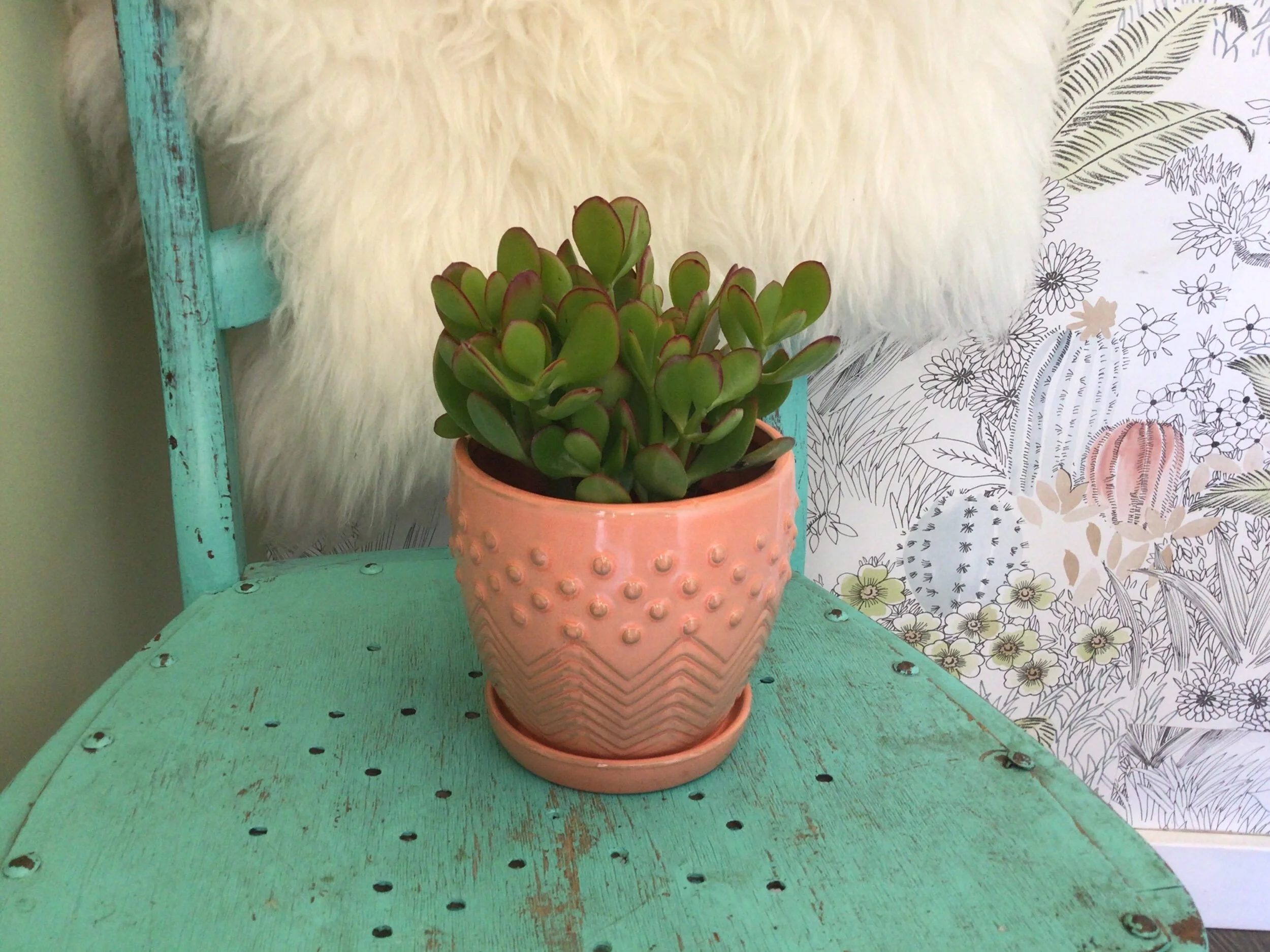 6903C0B6-9F37-4815-9D16-7C5F75D5A889