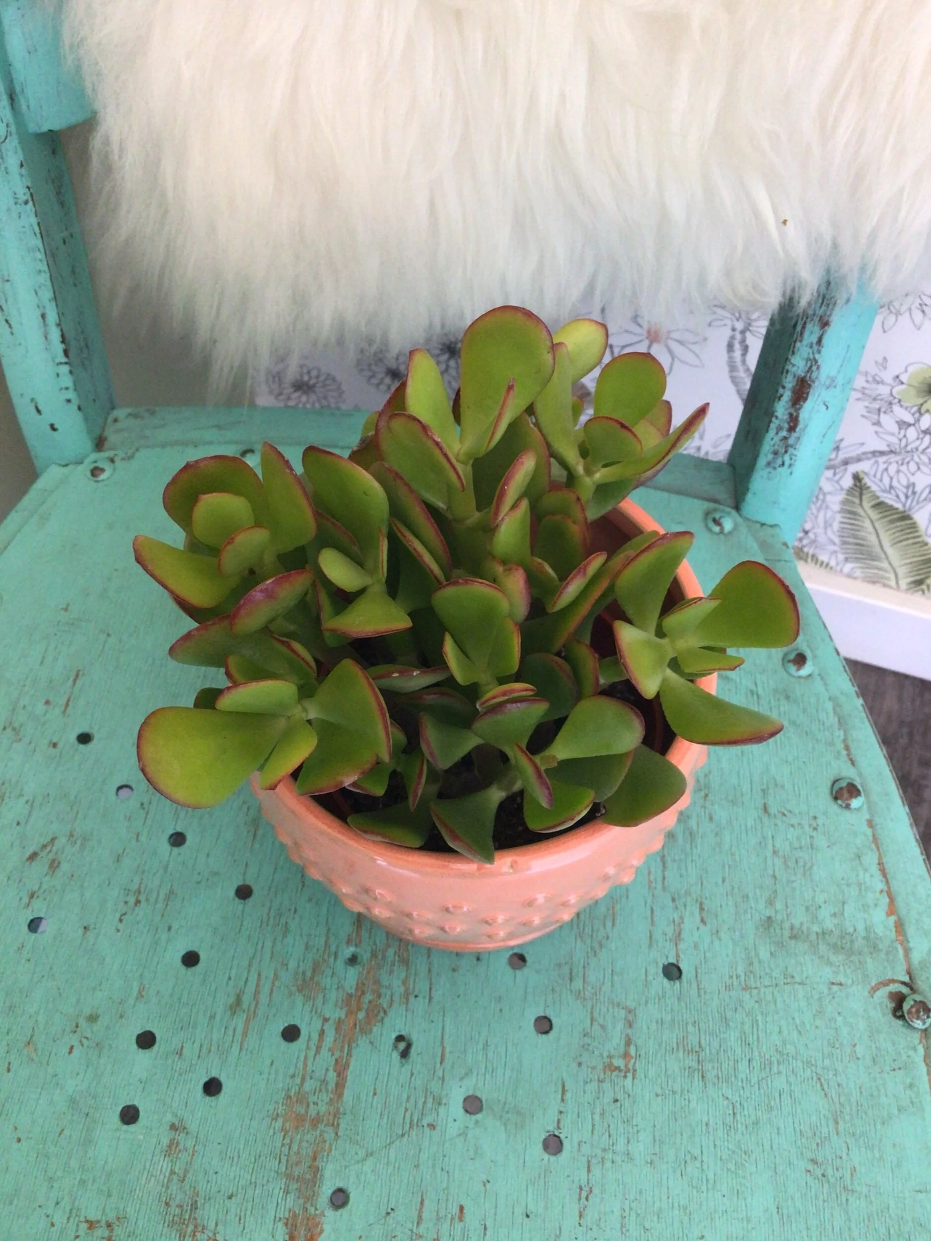 C6A374AC-A135-456E-9583-4DB9C27A993D