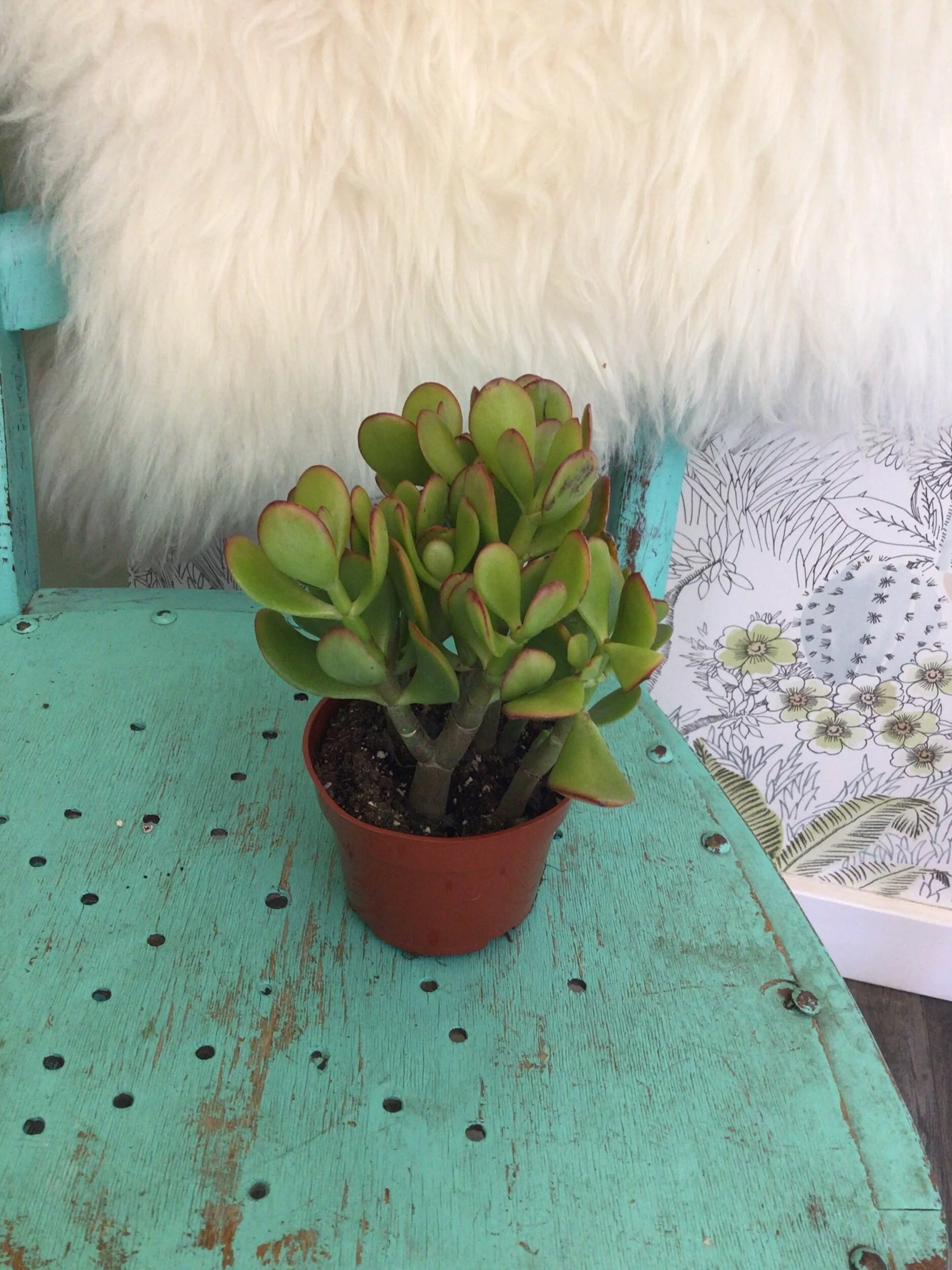 600D84A5-0335-4A2B-8681-FAB113D904F5