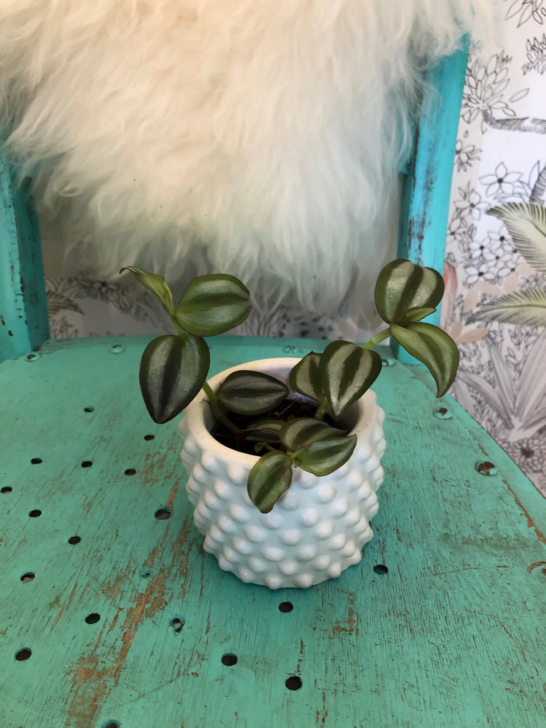 3CE297EF-0AC6-45F0-BC8C-7B793F749B69