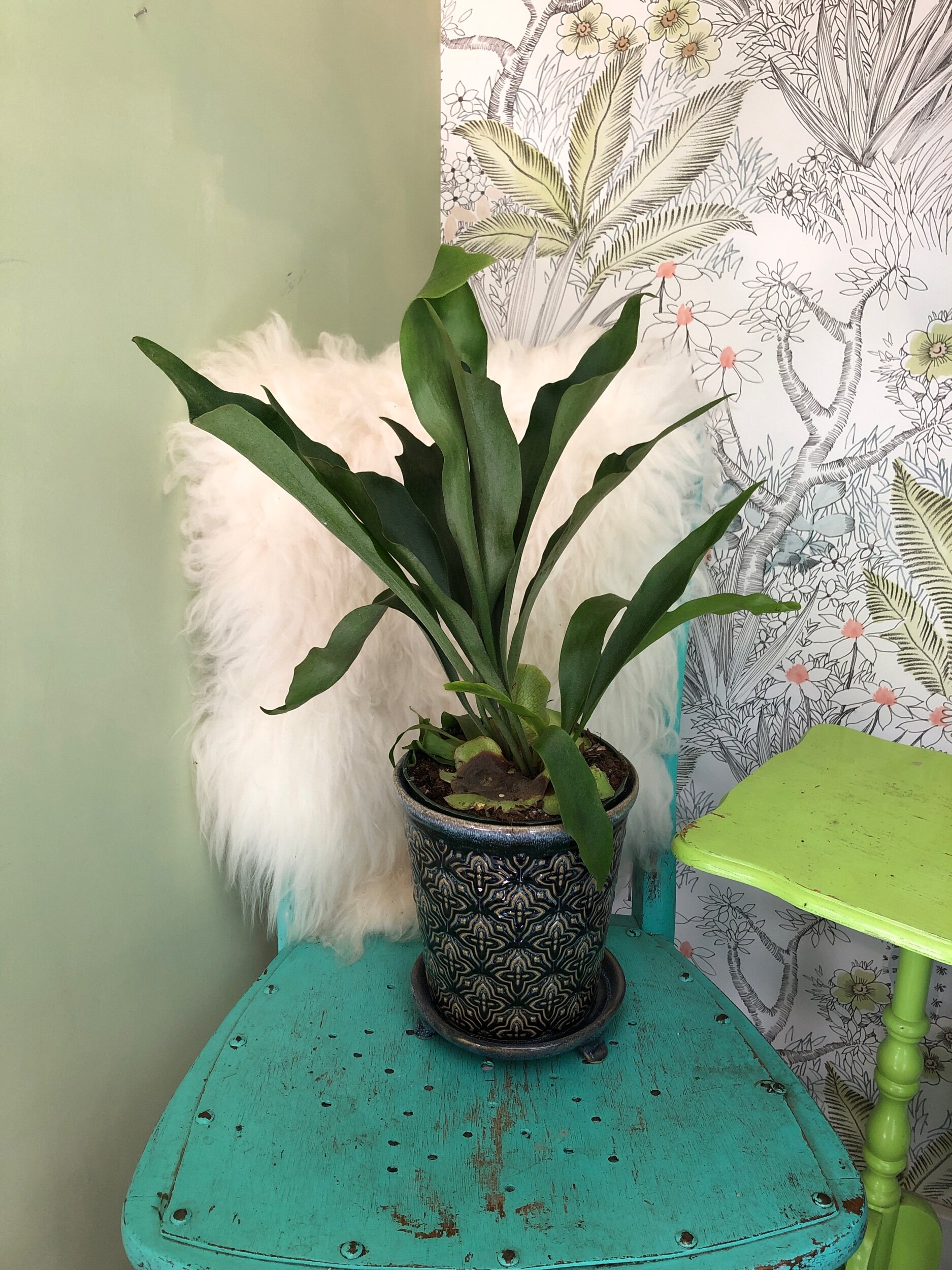 1CDDA887-B248-4533-9D0F-E8377034776F